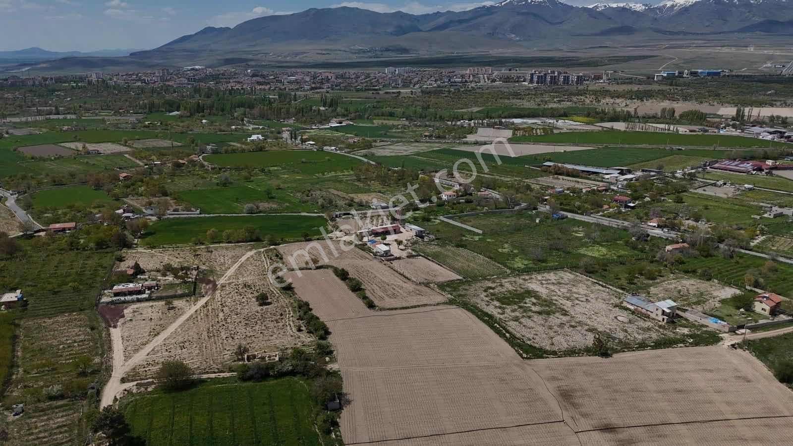 Emin Emlak Bor Fatih 3 Dönüm (su Elektrik Yol Var) Satılık Tarla - Görsel 2