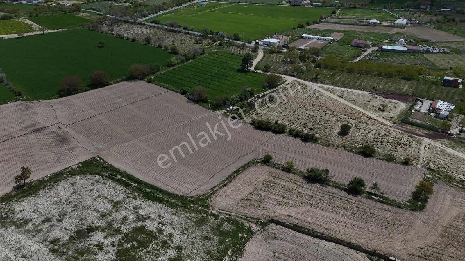 Emin Emlak Bor Fatih 3 Dönüm (su Elektrik Yol Var) Satılık Tarla - Görsel 15