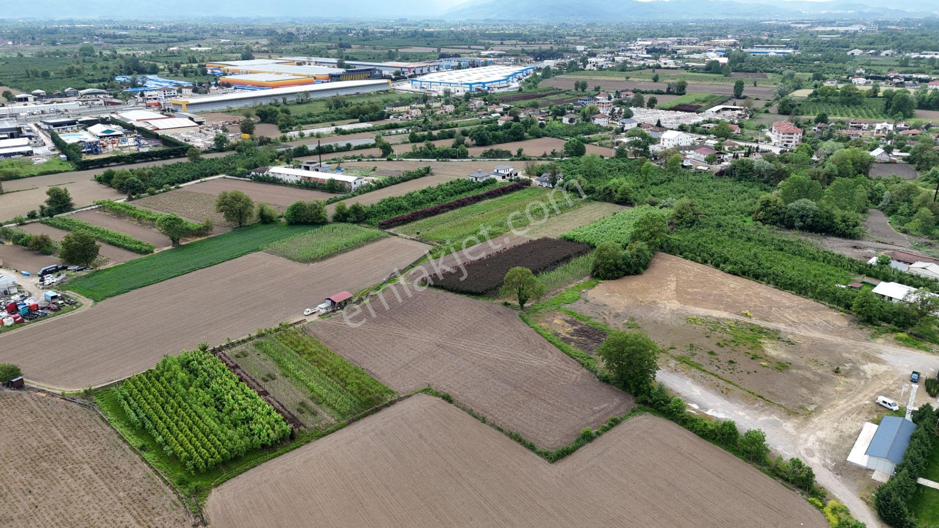 Düzce Çerkeztaşköprüde Satılık 5869 M2 Arazi - Görsel 3