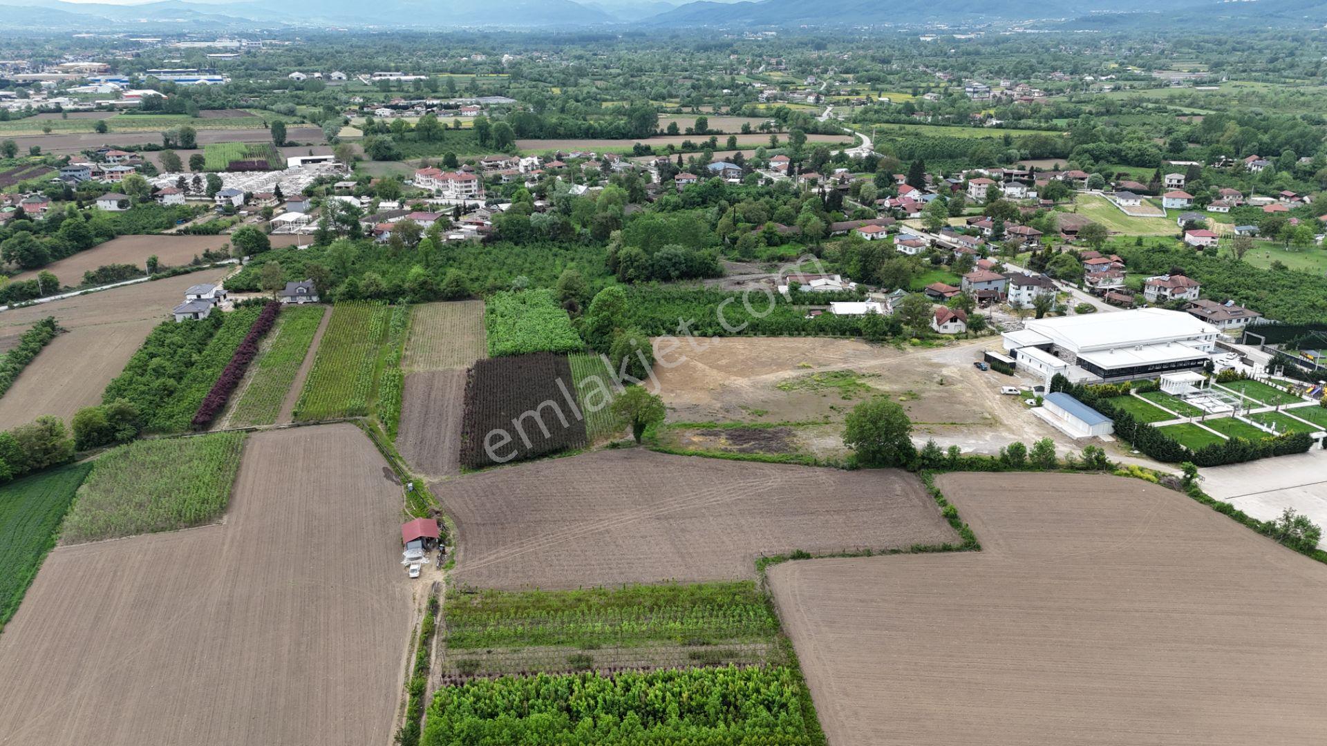Düzce Çerkeztaşköprüde Satılık 5869 M2 Arazi - Görsel 2