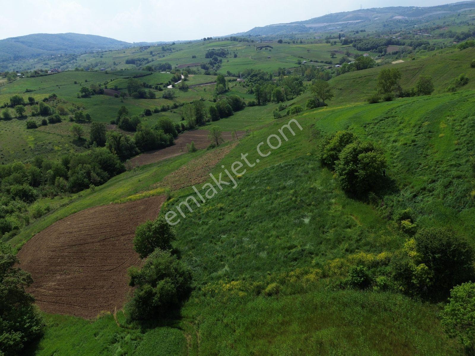Kandıra Osb Karşısı Ahmethacılarda Yatırım Firsatı 1.621m2 Tarla - Görsel 2
