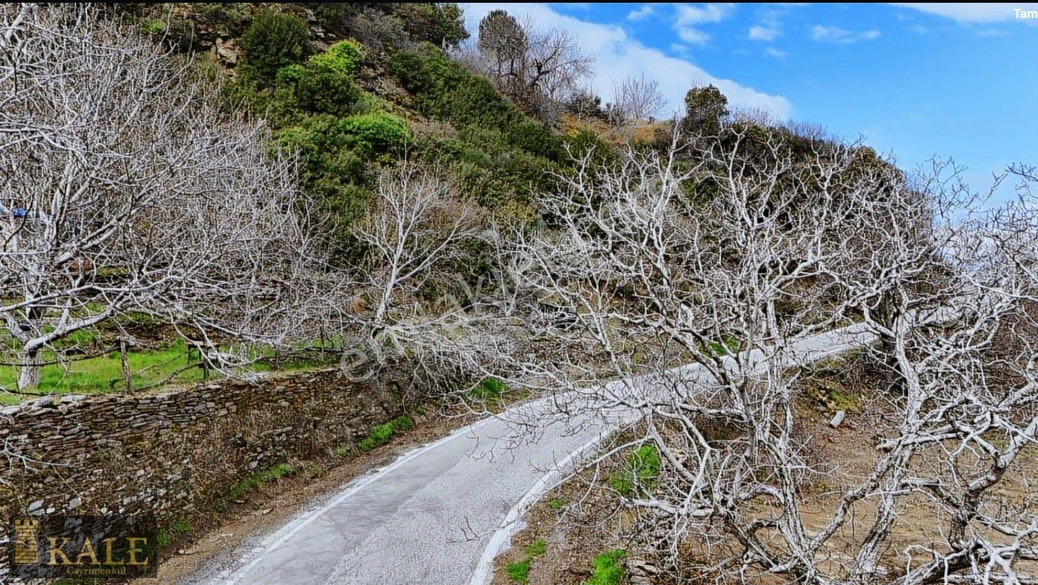 Kale'den Panoramik Tire Manzaralı Meyve Bahçesi - Görsel 3