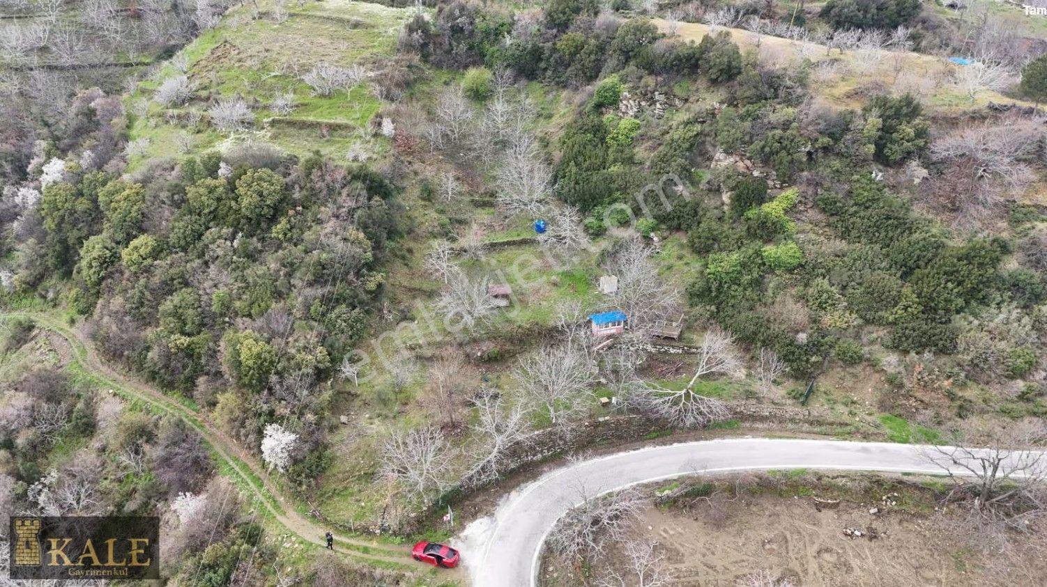 Kale'den Panoramik Tire Manzaralı Meyve Bahçesi - Görsel 6
