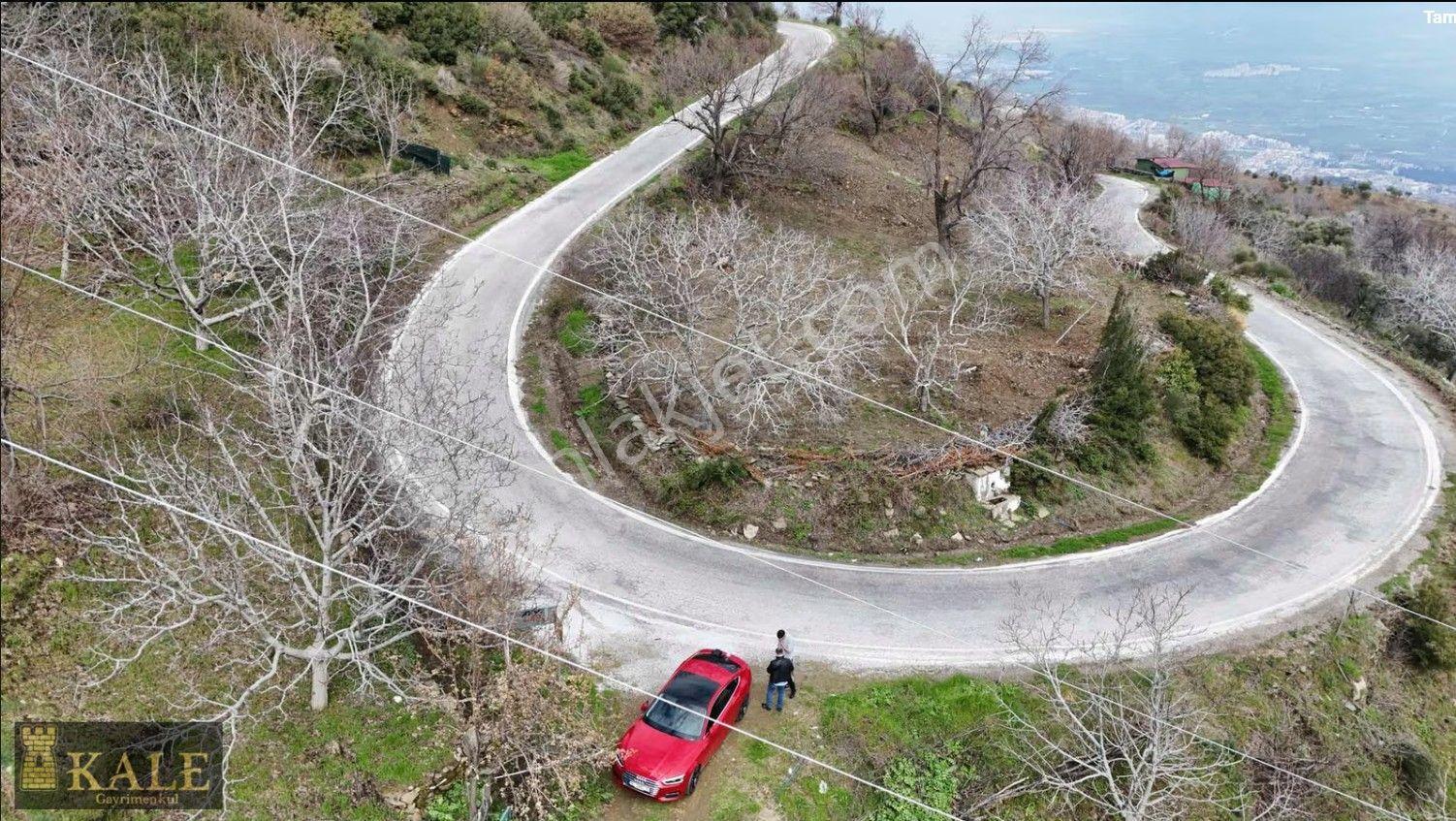 Kale'den Panoramik Tire Manzaralı Meyve Bahçesi - Görsel 2