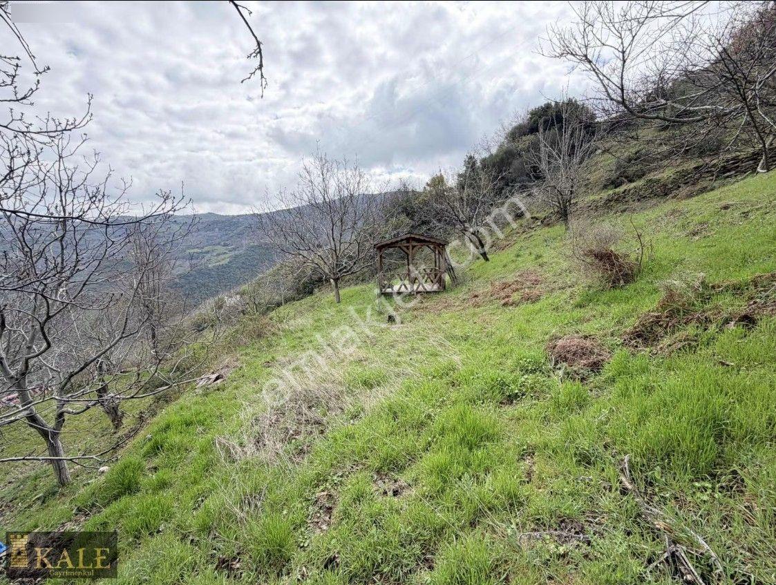 Kale'den Panoramik Tire Manzaralı Meyve Bahçesi - Görsel 11