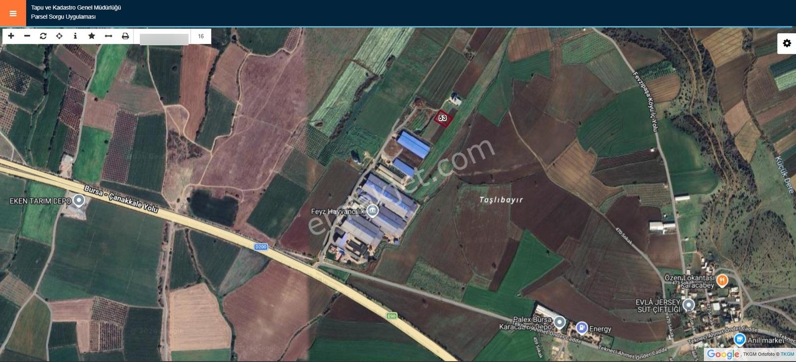 Yukarıfevzipaşa'da Satılık 2000 M2 Tarla - Görsel 5