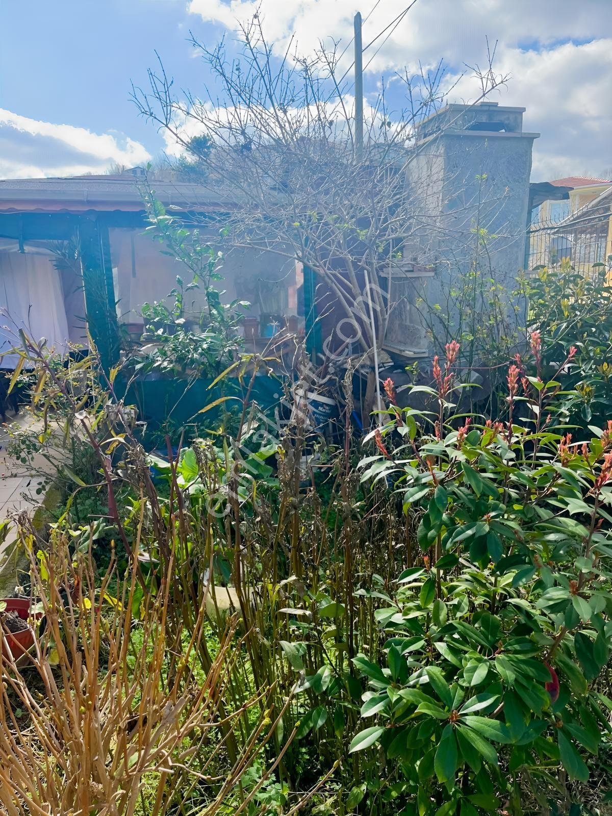 Acr Gyd'den Şile Ağlayankaya Yazlık Kiralık 2+1 Daire - Görsel 8