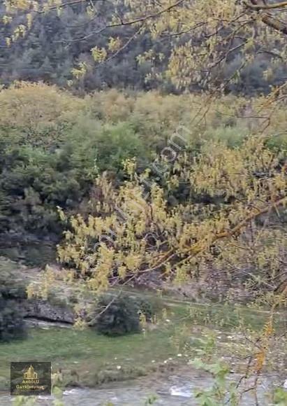 Atakum Akalan' Da 7165 M2 Satılık Tarla - Görsel 4