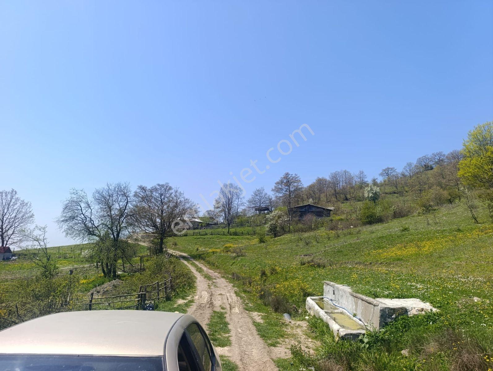 Bursa Yenişehir Kıblepınarda Yola Cepheli 5575 M² Manzaralı Tar - Görsel 6