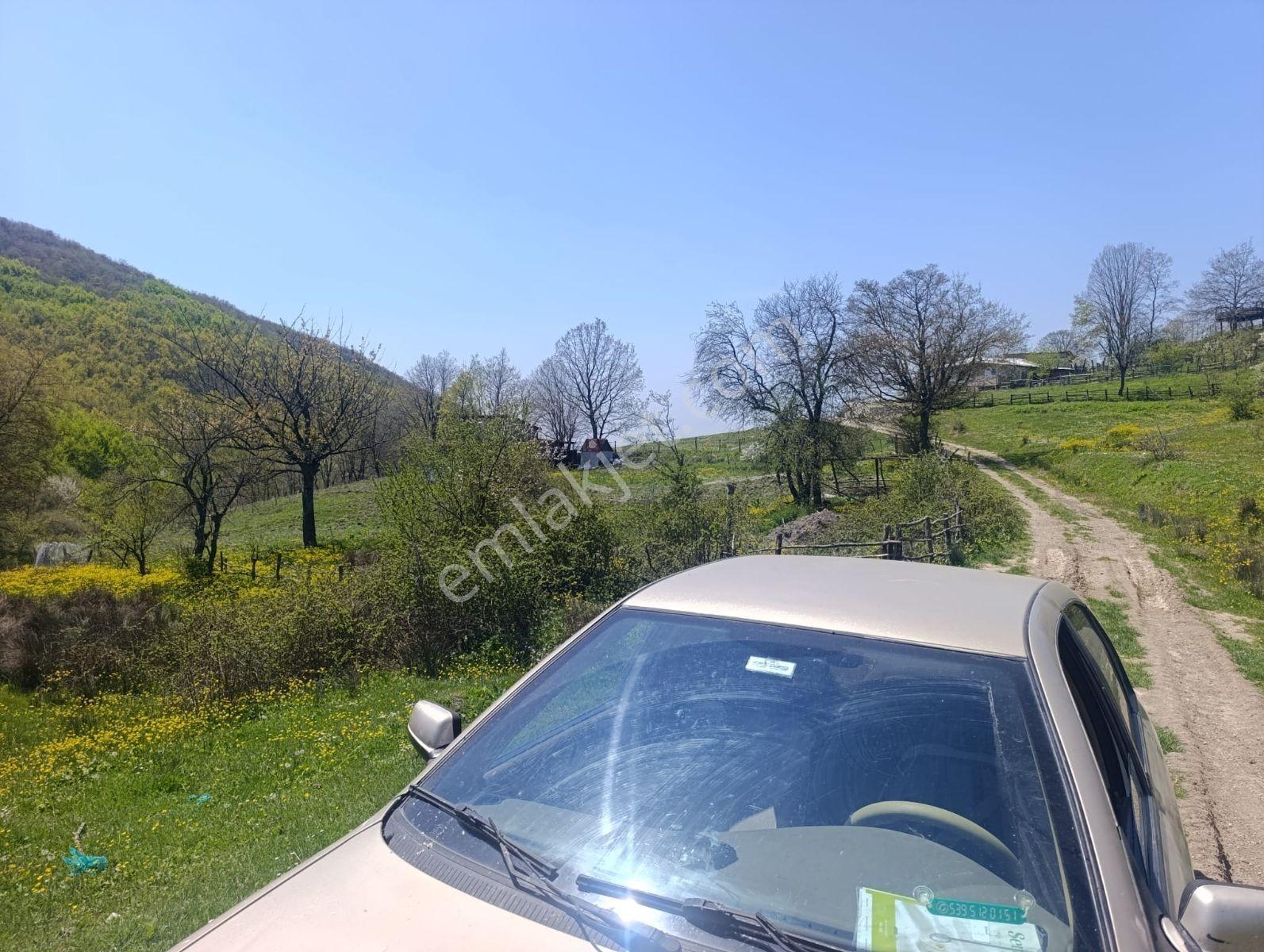Bursa Yenişehir Kıblepınarda Yola Cepheli 5575 M² Manzaralı Tar - Görsel 5