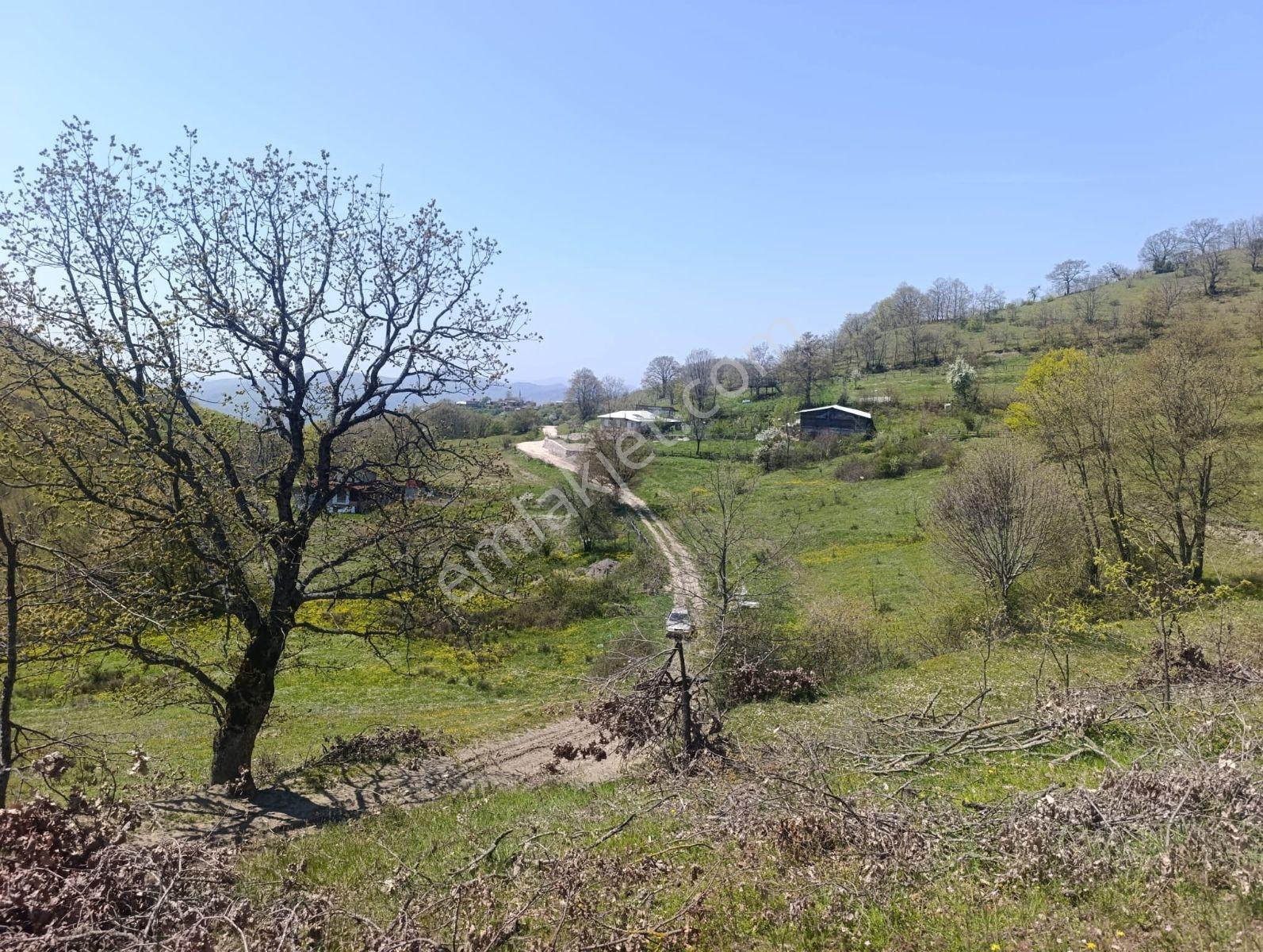 Bursa Yenişehir Kıblepınarda Yola Cepheli 5575 M² Manzaralı Tar