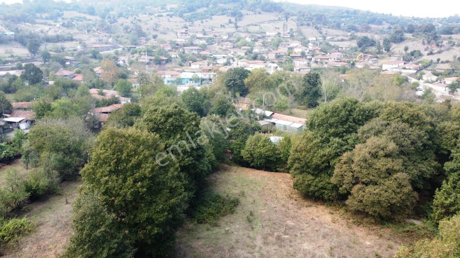 Balıkesir Gönen'de 3 Dönüm Villa İmarlı Yatırımlık Satılık Arsa - Görsel 6