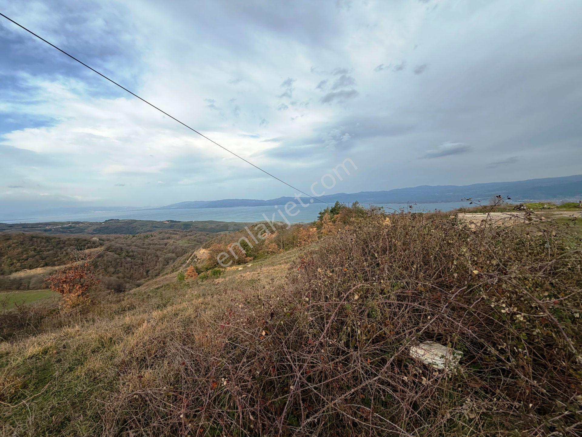 İznik-yenişehir Yoluna Paralel 9368m2 Göl Manzaralı Satılık Arsa - Görsel 21