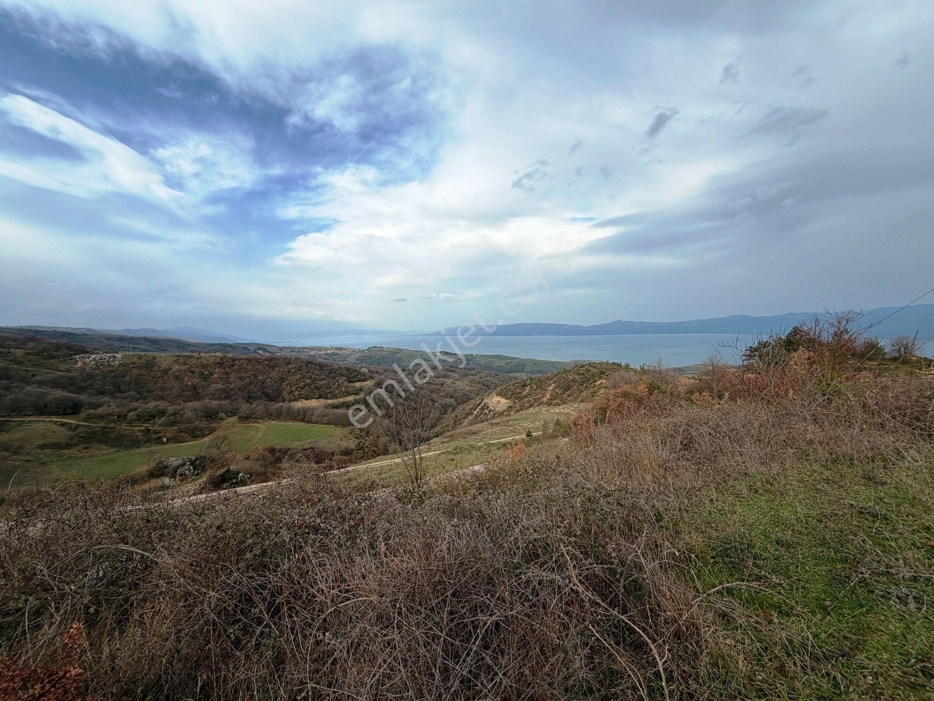İznik-yenişehir Yoluna Paralel 9368m2 Göl Manzaralı Satılık Arsa - Görsel 18
