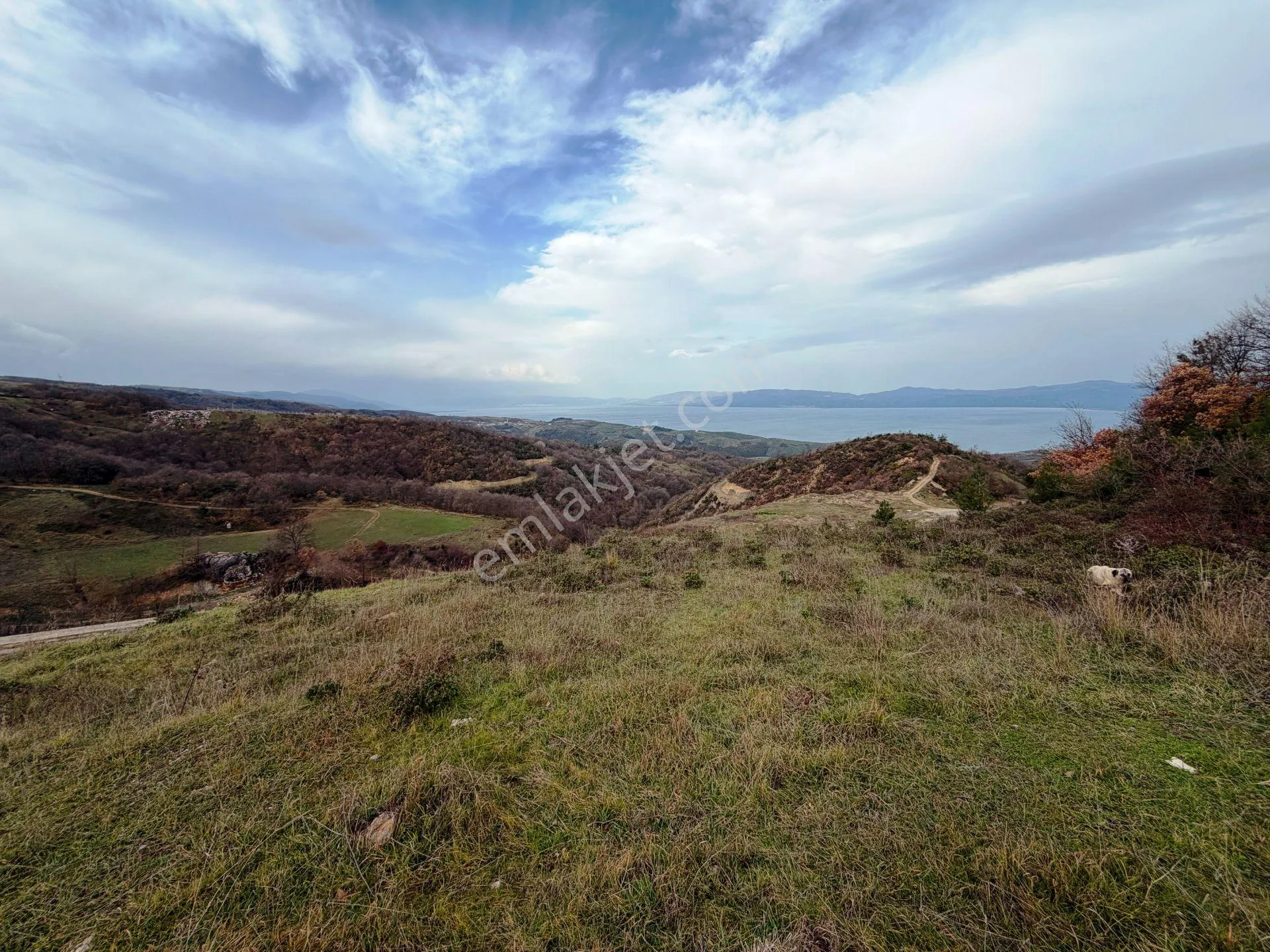 İznik-yenişehir Yoluna Paralel 9368m2 Göl Manzaralı Satılık Arsa - Görsel 2