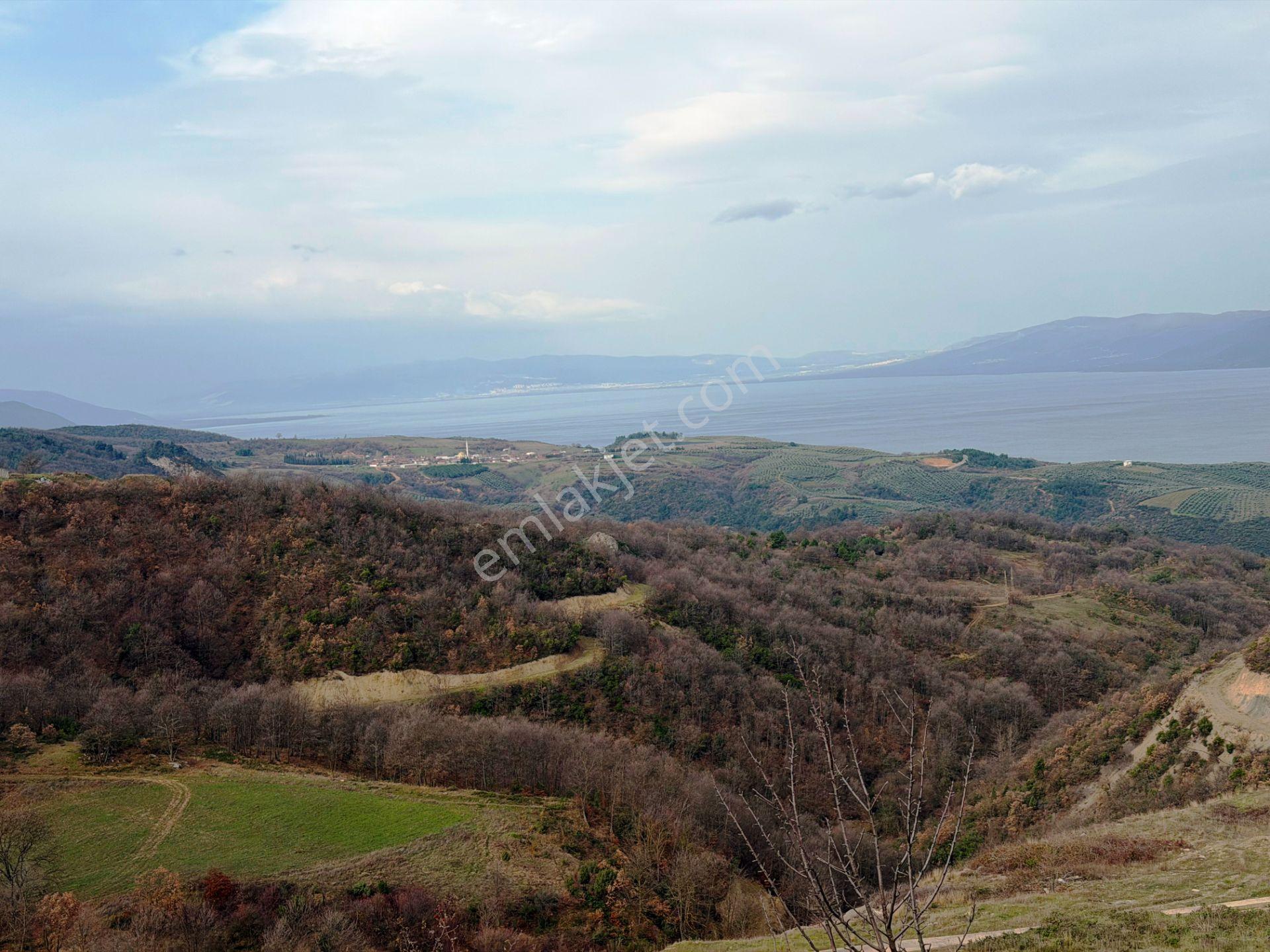 İznik-yenişehir Yoluna Paralel 9368m2 Göl Manzaralı Satılık Arsa - Görsel 17