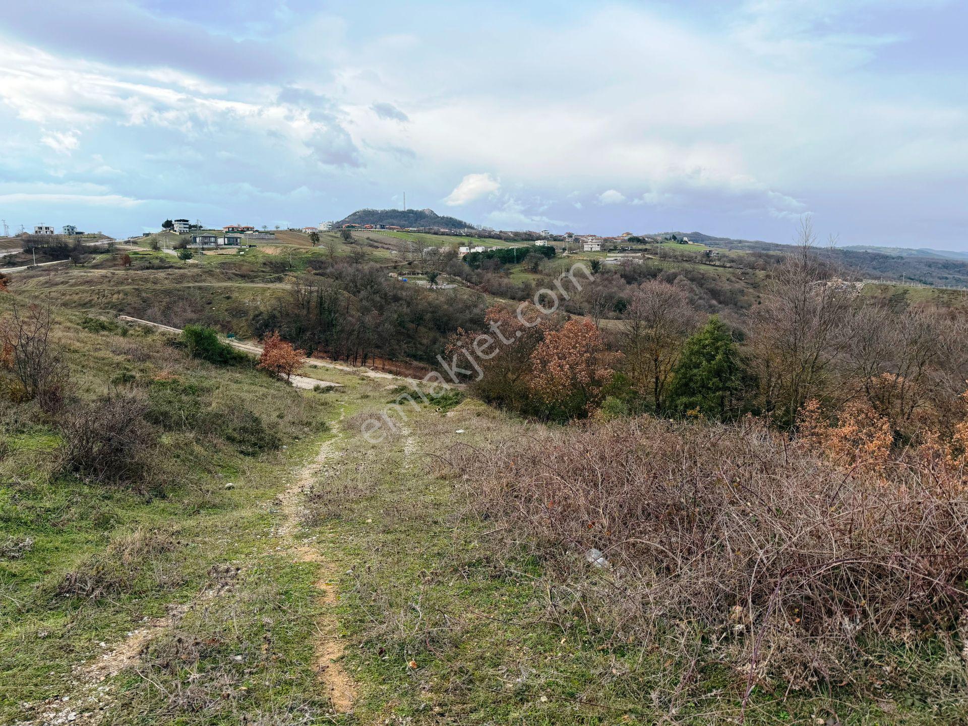 İznik-yenişehir Yoluna Paralel 9368m2 Göl Manzaralı Satılık Arsa - Görsel 16