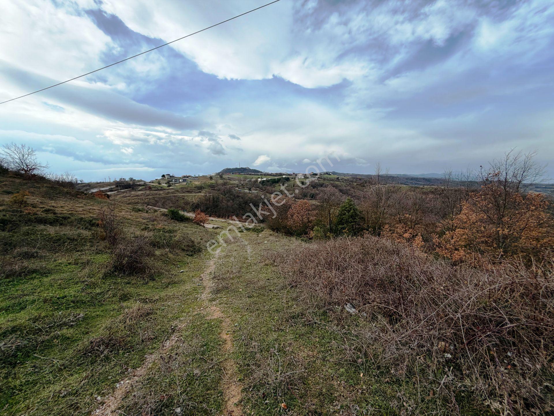 İznik-yenişehir Yoluna Paralel 9368m2 Göl Manzaralı Satılık Arsa - Görsel 15