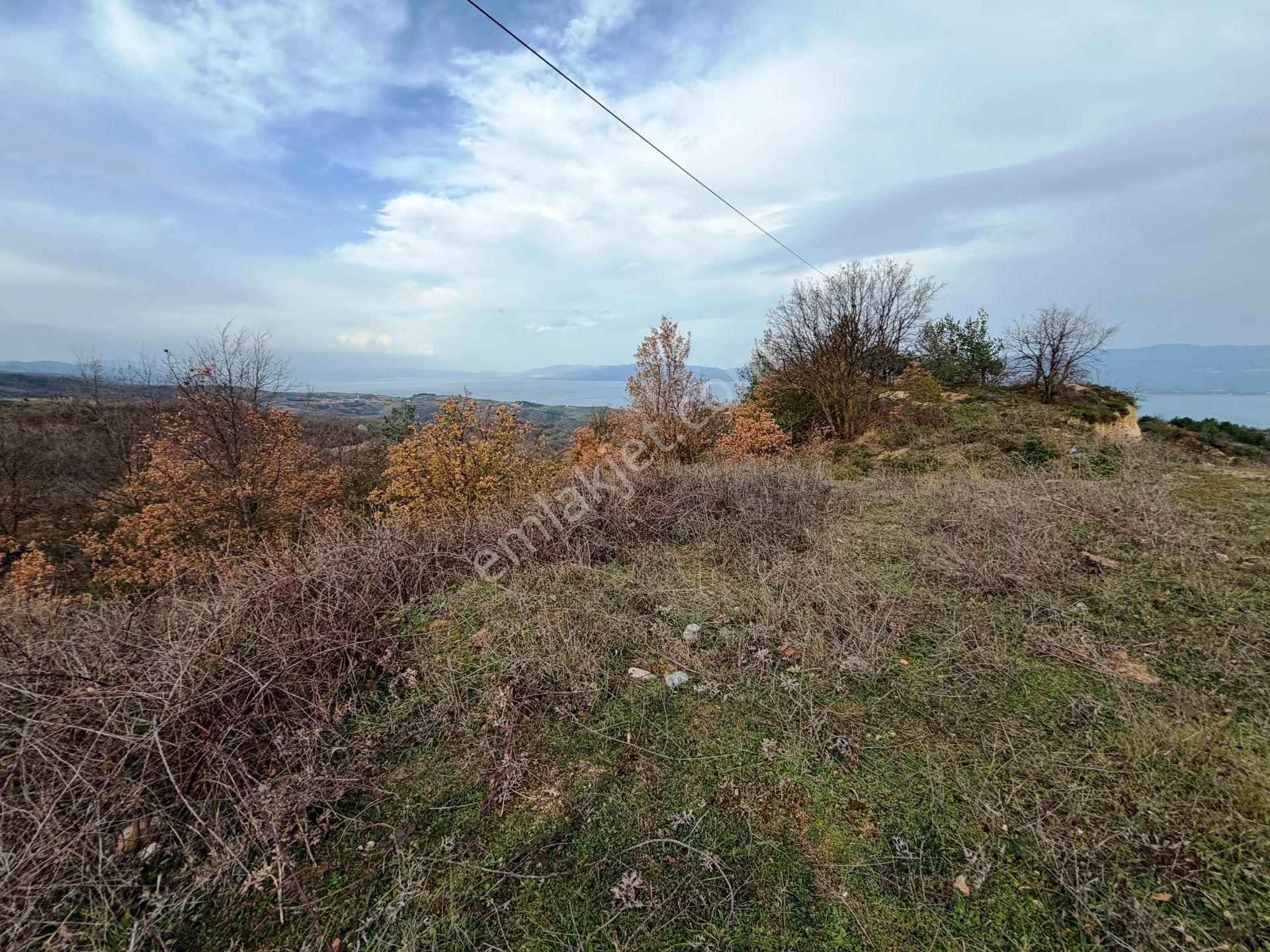 İznik-yenişehir Yoluna Paralel 9368m2 Göl Manzaralı Satılık Arsa - Görsel 14