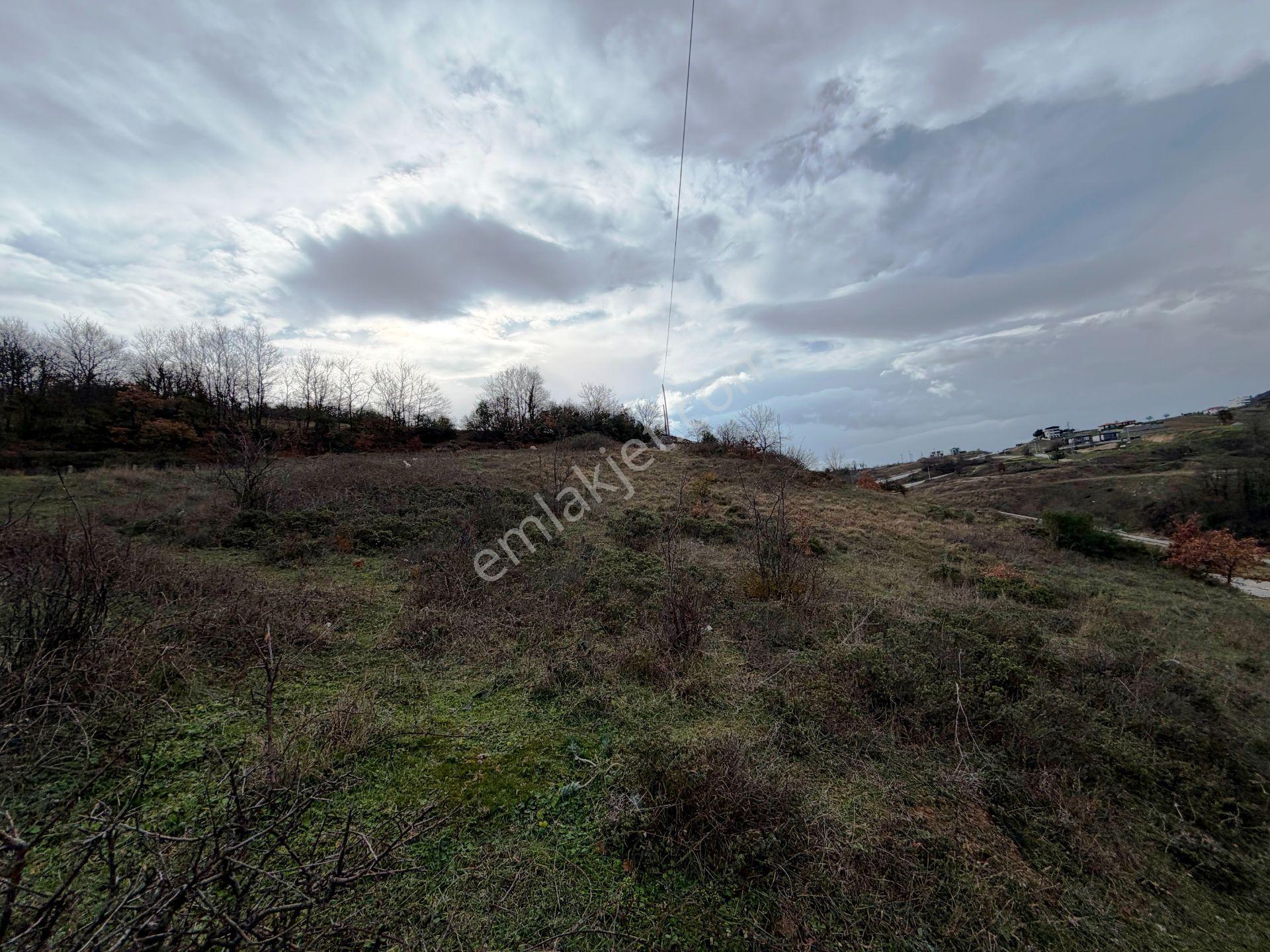 İznik-yenişehir Yoluna Paralel 9368m2 Göl Manzaralı Satılık Arsa - Görsel 12
