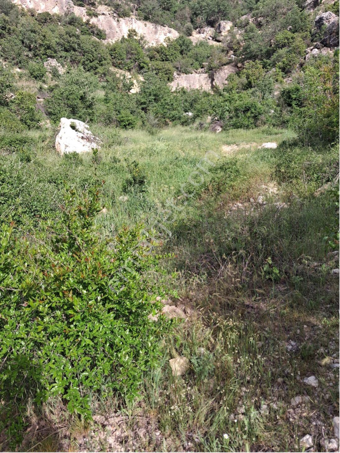 Mut Karacaoğlanda Satılık Tarla - Görsel 21