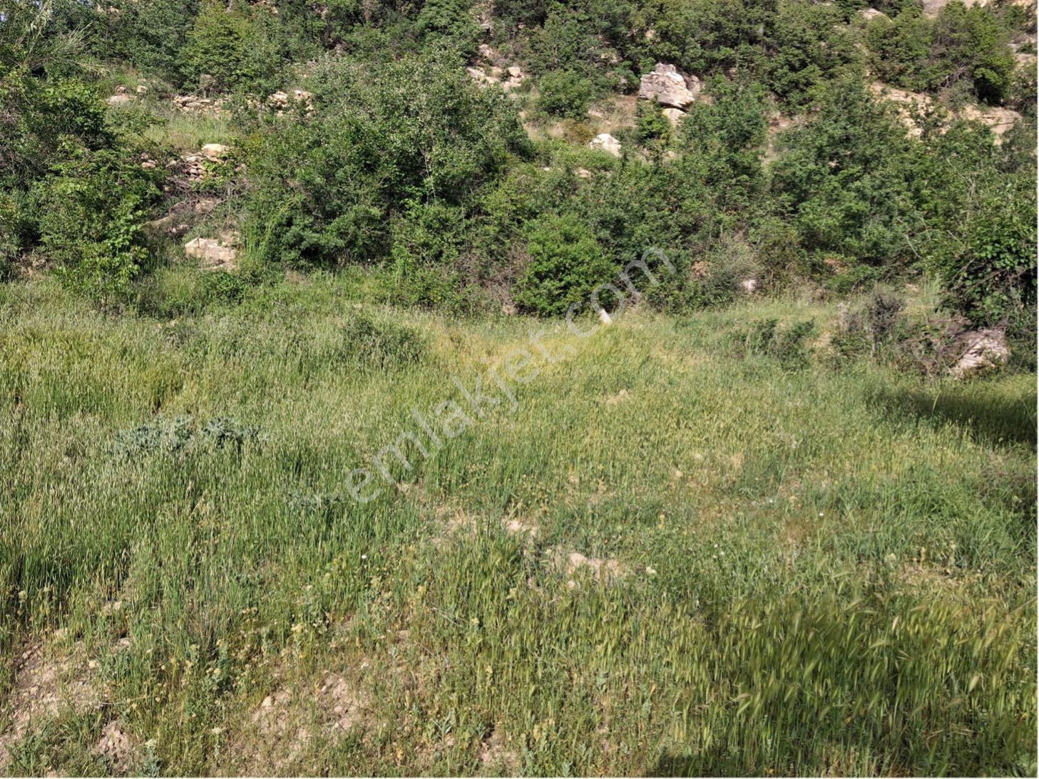 Mut Karacaoğlanda Satılık Tarla - Görsel 20