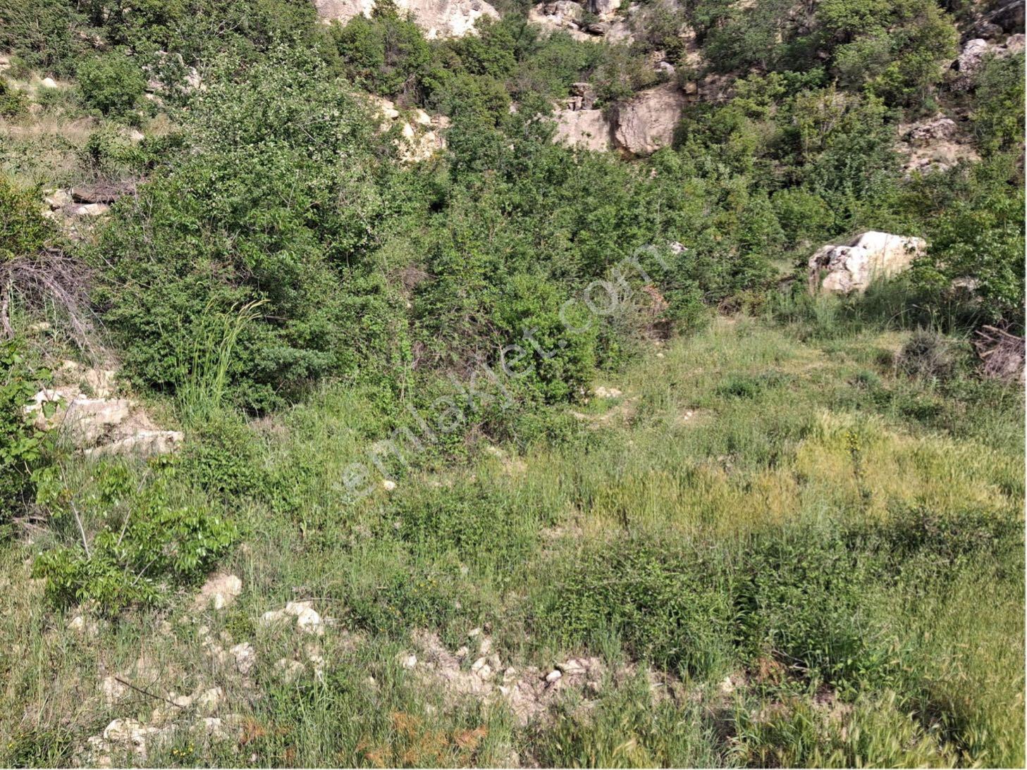 Mut Karacaoğlanda Satılık Tarla - Görsel 18