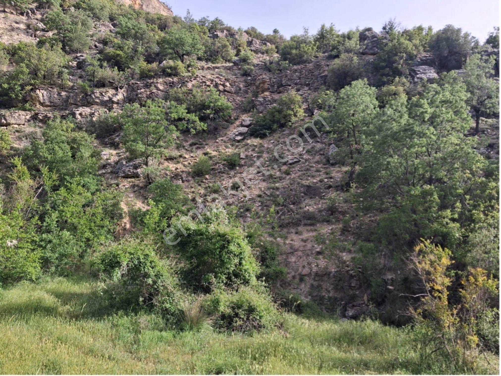 Mut Karacaoğlanda Satılık Tarla - Görsel 4