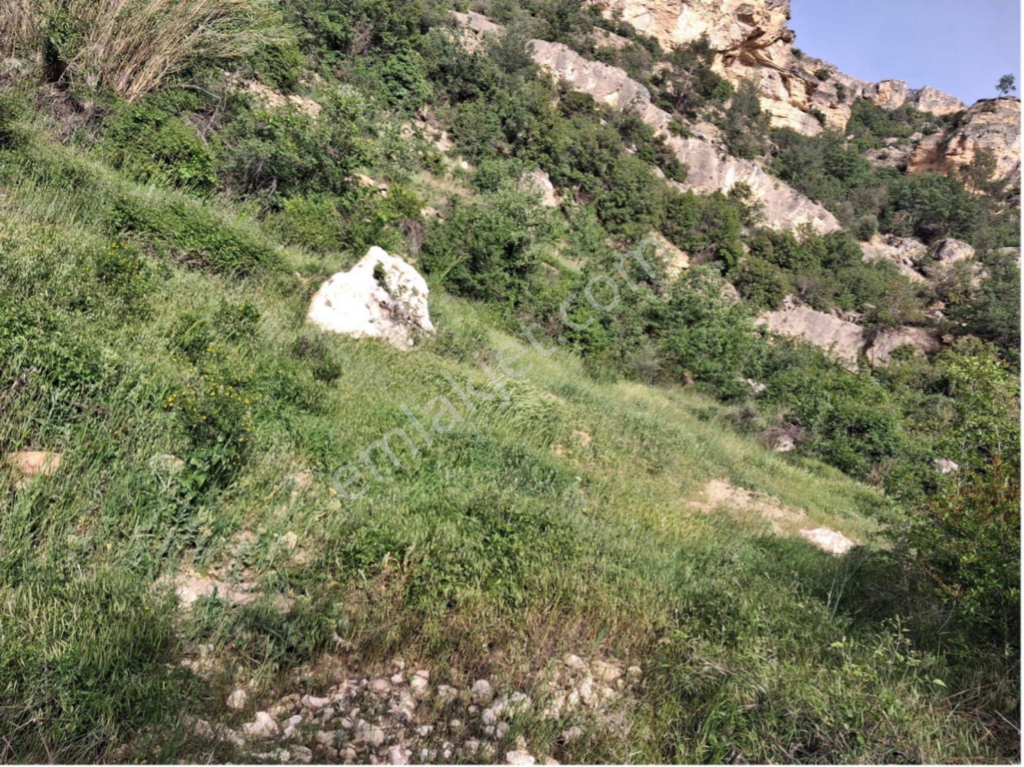 Mut Karacaoğlanda Satılık Tarla - Görsel 2