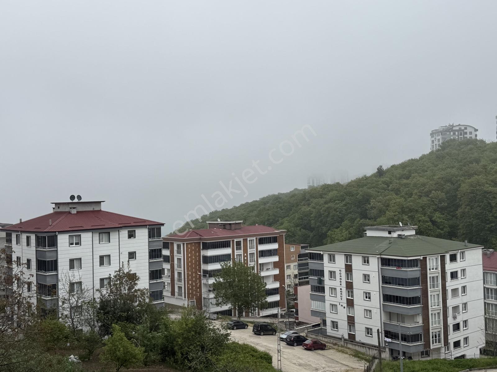 Bulut Emlak Hasköy'de Ebeveyn Banyolu 2+1 Deniz/orman Manzaralı - Görsel 19