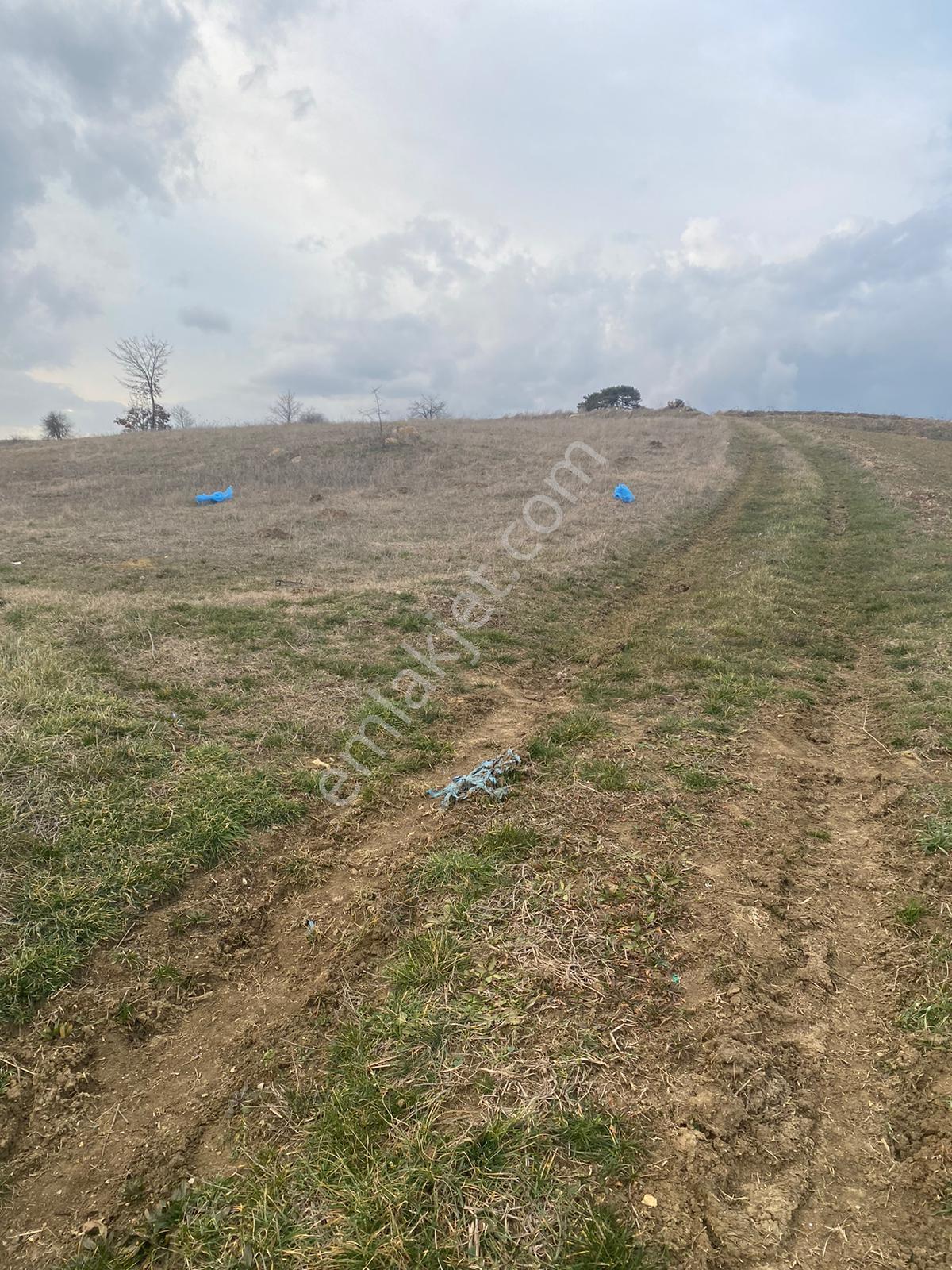 Sındırgı Yüreğil Mahallesinde Satılık Hobi Bahçesi 776 M2 - Görsel 20