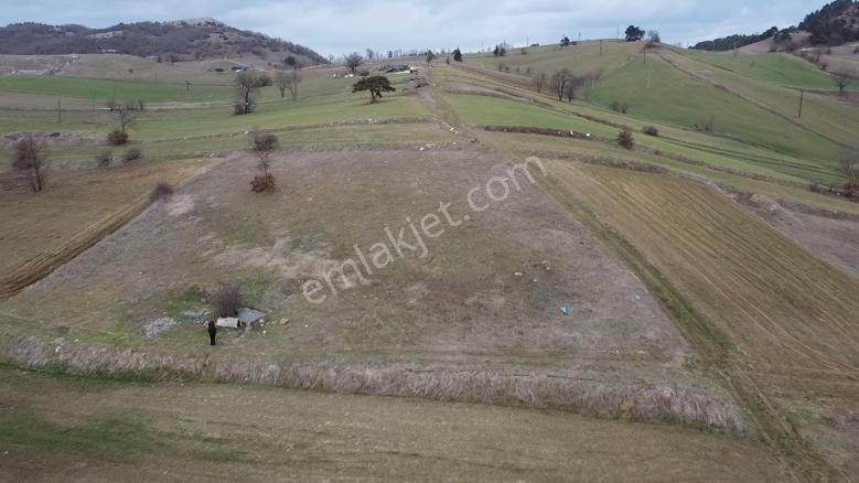 Sındırgı Yüreğil Mahallesinde Satılık Hobi Bahçesi 776 M2 - Görsel 18