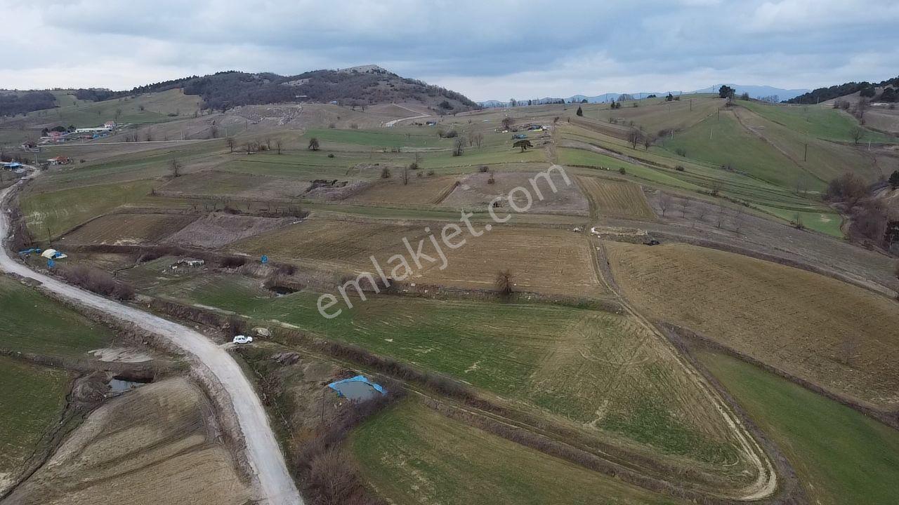 Sındırgı Yüreğil Mahallesinde Satılık Hobi Bahçesi 776 M2 - Görsel 21