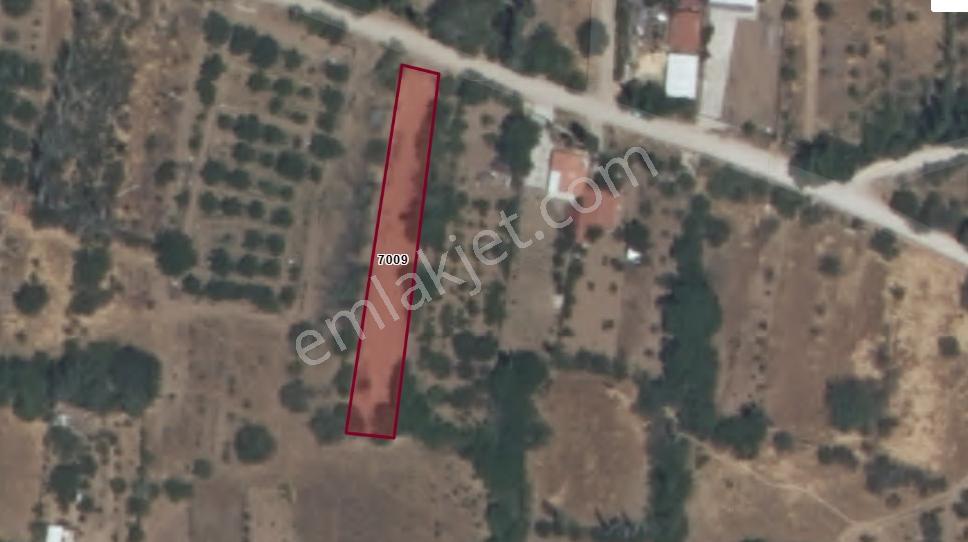 Isparta Kuleönünde Satılık 925 M² Bağyola Sıfır,elektrik Hazır - Görsel 6