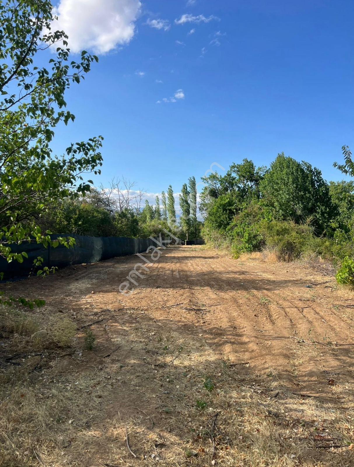 Isparta Kuleönünde Satılık 925 M² Bağyola Sıfır,elektrik Hazır