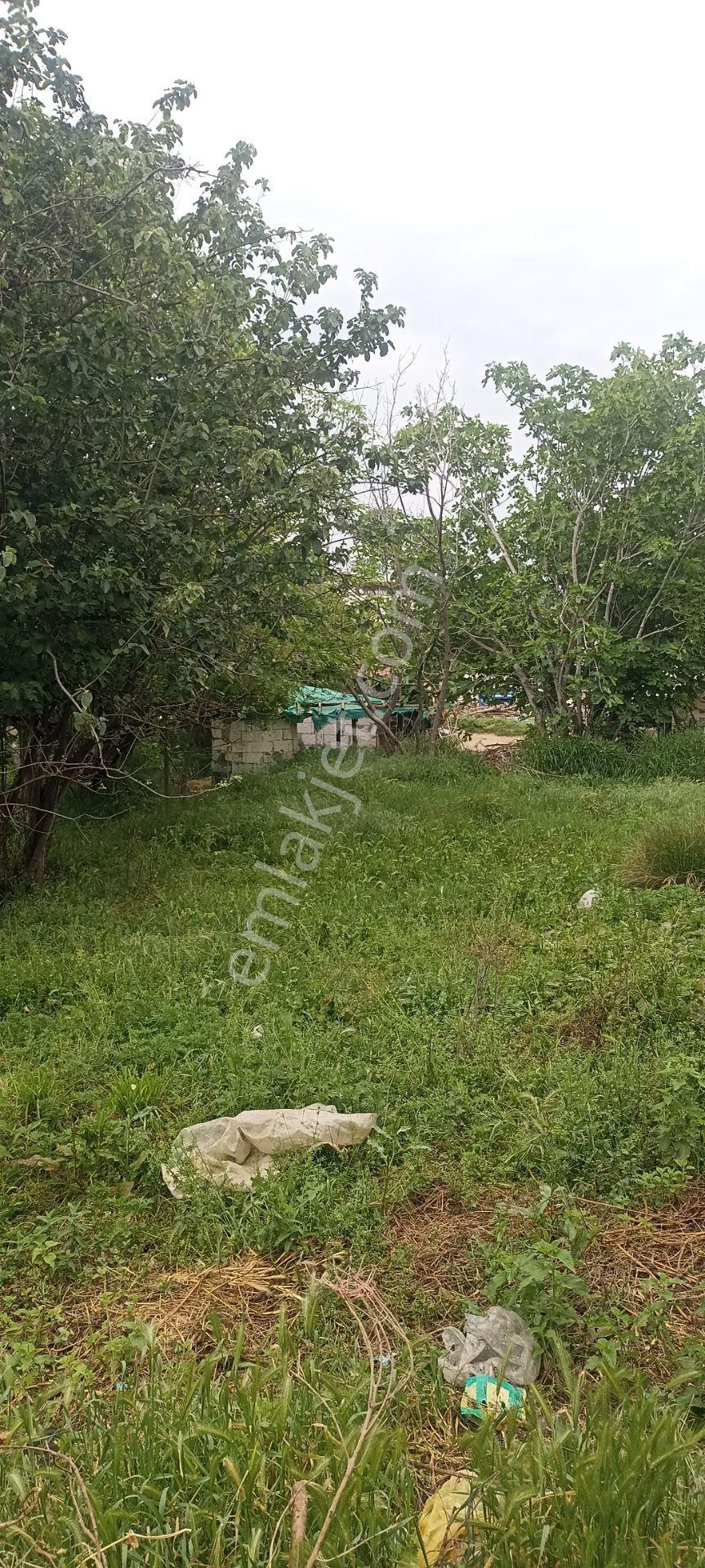 Satılık Arsa 2 Adet Tapu Tek Fiyat - Görsel 7