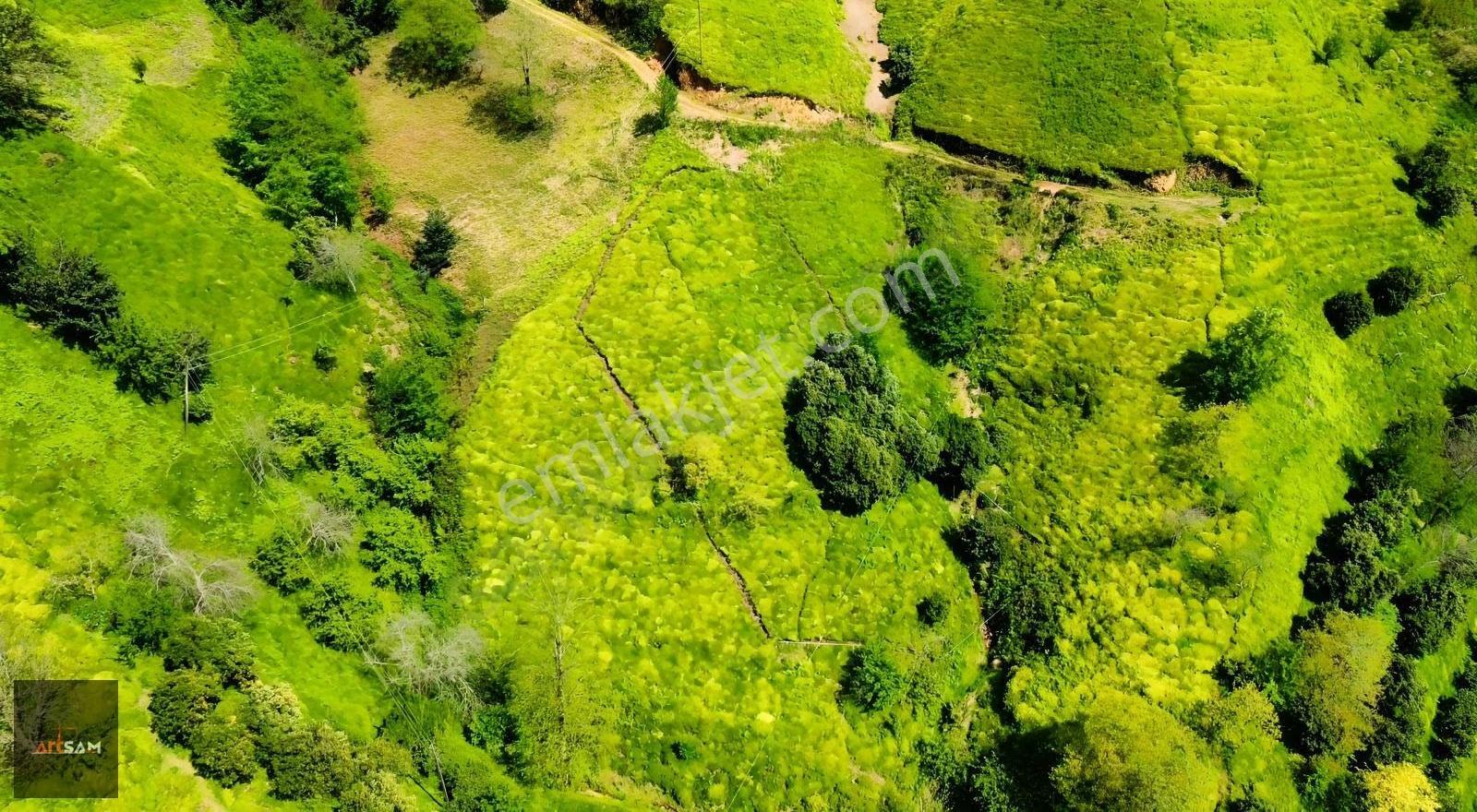 Artsam Grup'dan 1.763 M² Turizm İmarlı Oce Köyünde Satılık Arsa - Görsel 5