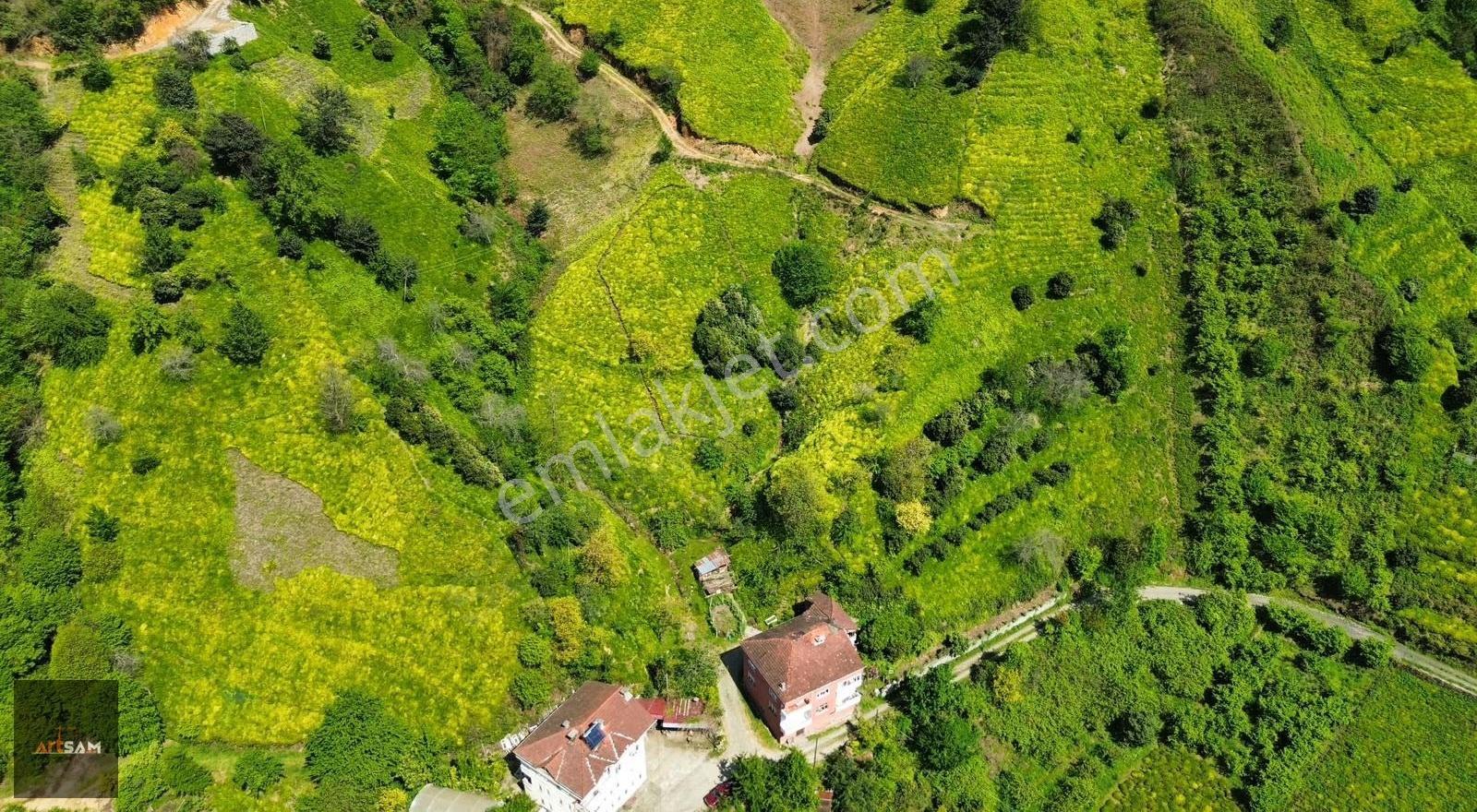 Artsam Grup'dan 1.763 M² Turizm İmarlı Oce Köyünde Satılık Arsa - Görsel 6