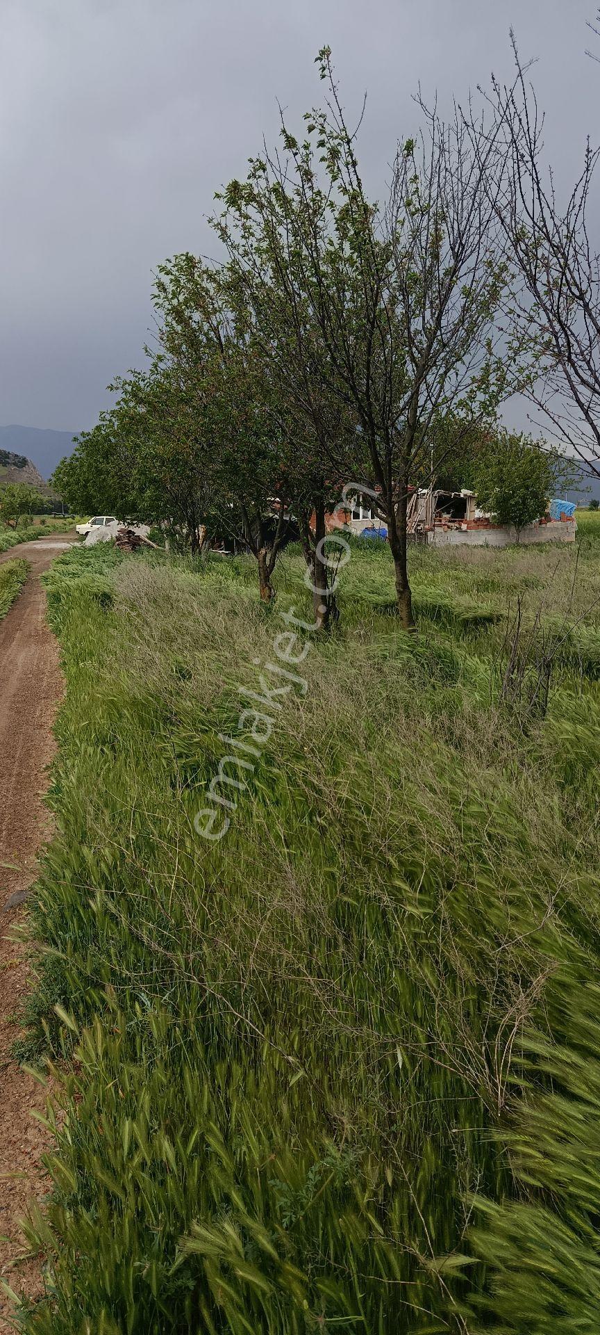 Denizli Acıpayam Yumrutaş Satılık 1287 M2 Arsa - Görsel 8