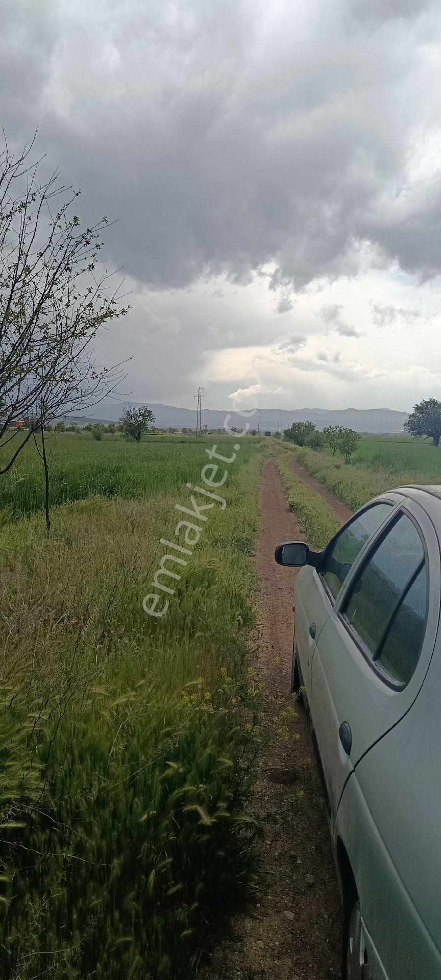 Denizli Acıpayam Yumrutaş Satılık 1287 M2 Arsa - Görsel 6