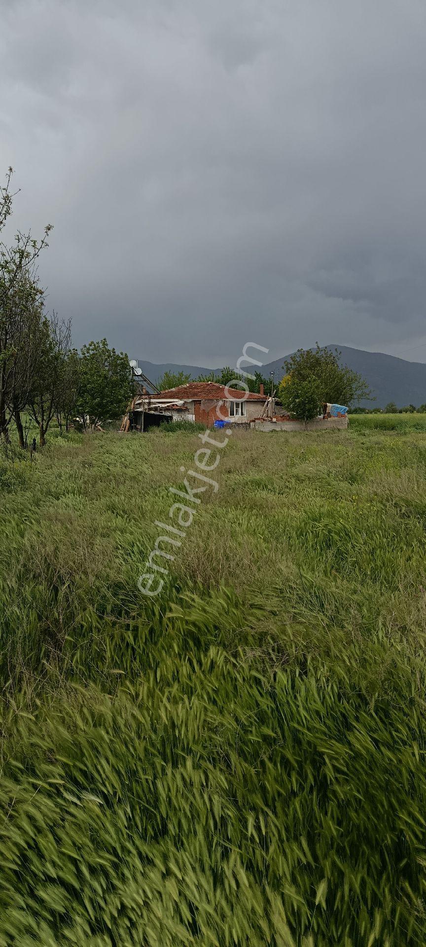 Denizli Acıpayam Yumrutaş Satılık 1287 M2 Arsa
