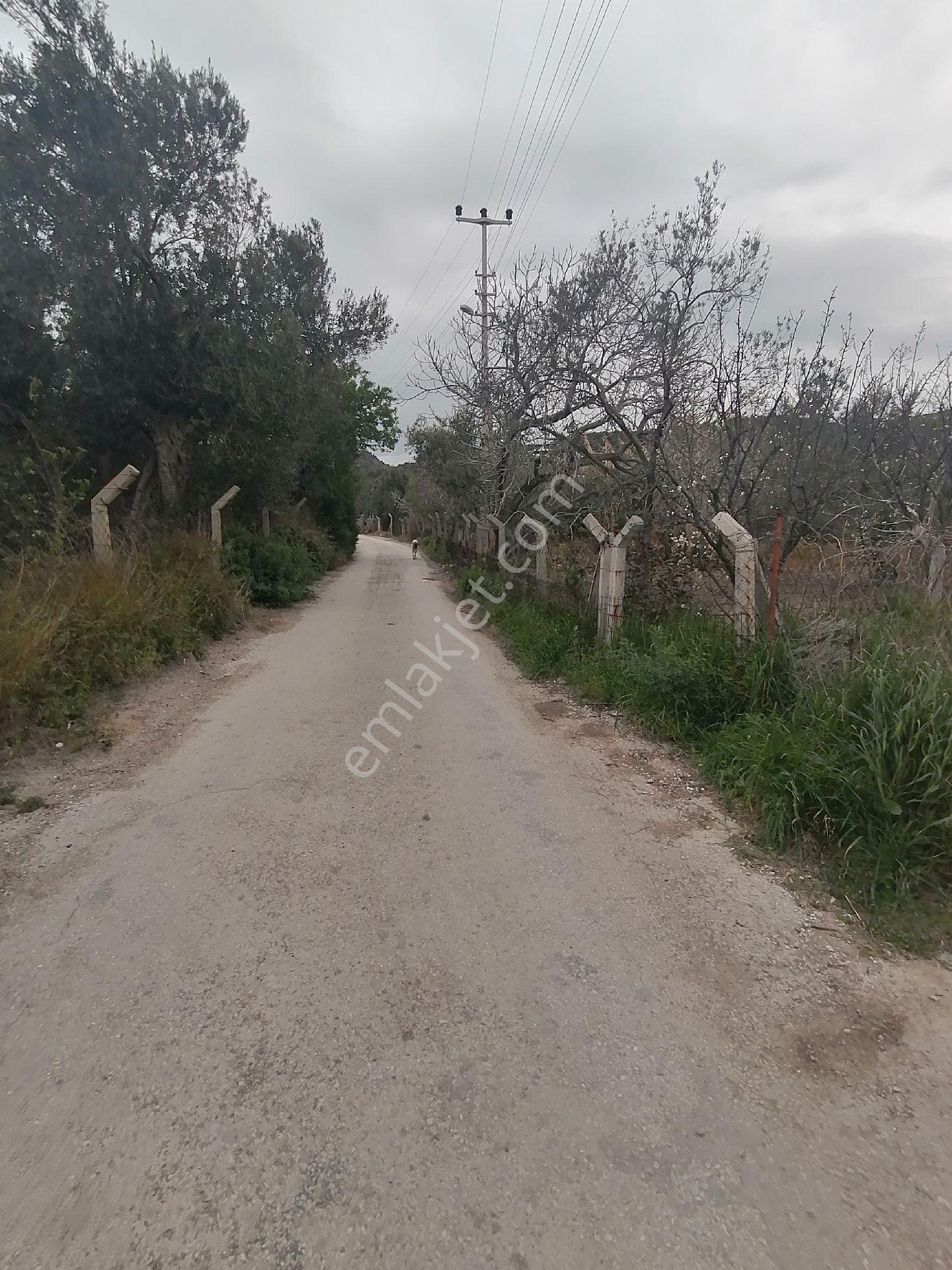 Devecioğlu Emlak Dan Mükemmel Konumda Kalem Adası Manzaralı Satılık Tarla - Görsel 33