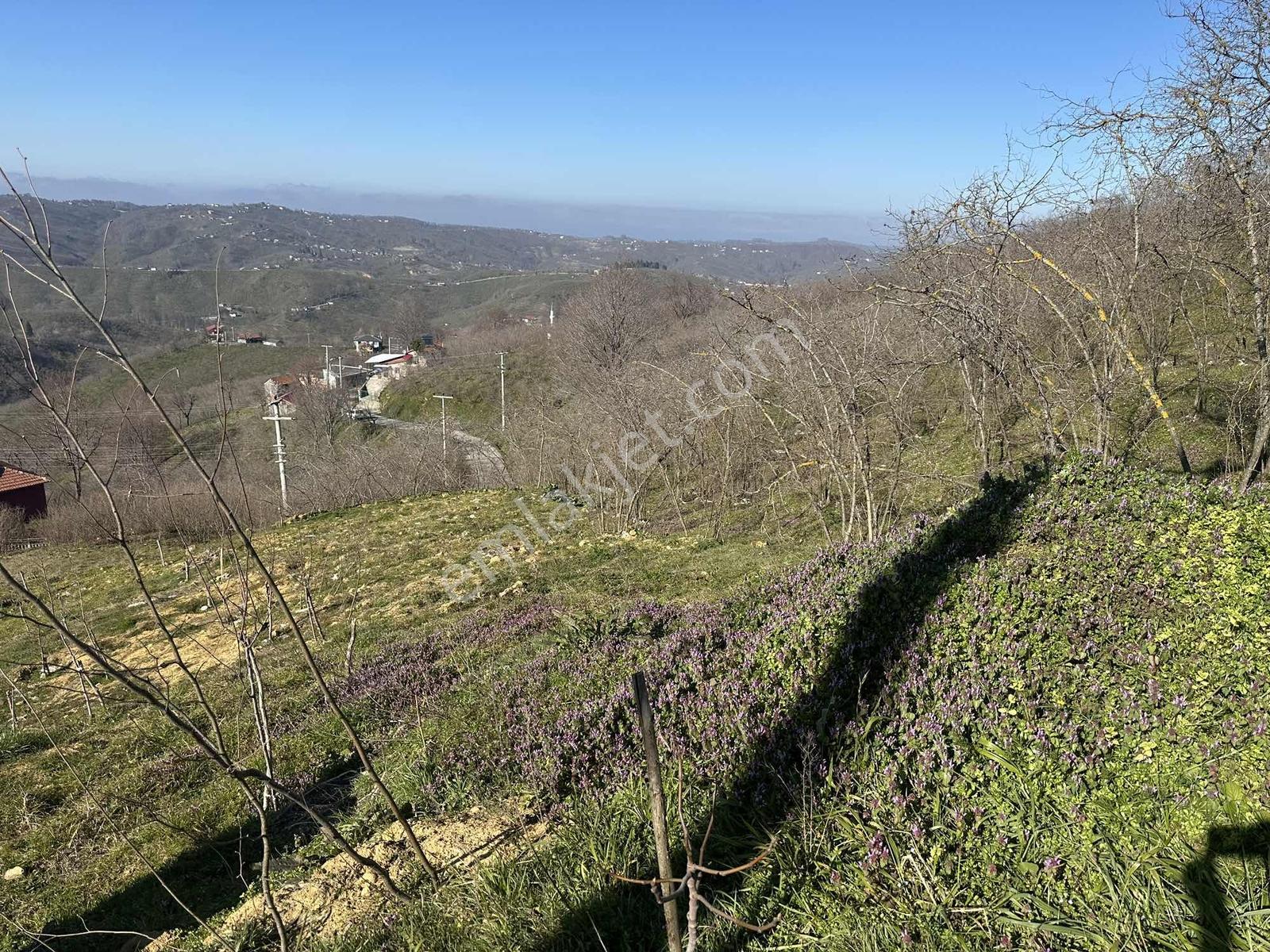 Kocaali'de Deniz Manzaralı 2 Asfalt Yol Cepheli 1.548 M2 İmarlı - Görsel 5