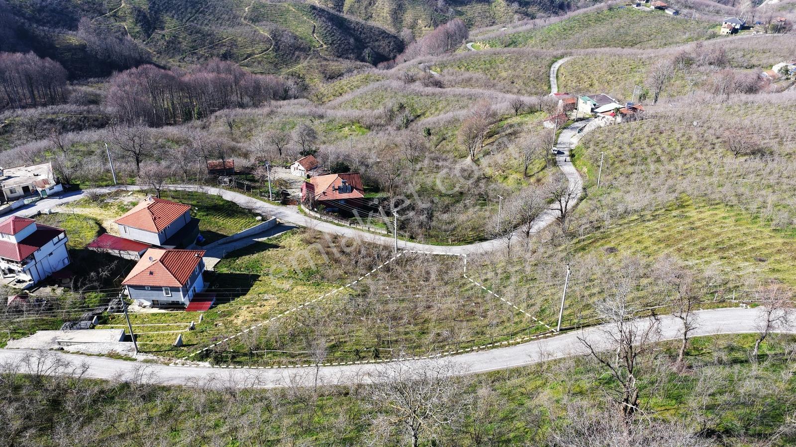 Kocaali'de Deniz Manzaralı 2 Asfalt Yol Cepheli 1.548 M2 İmarlı - Görsel 13