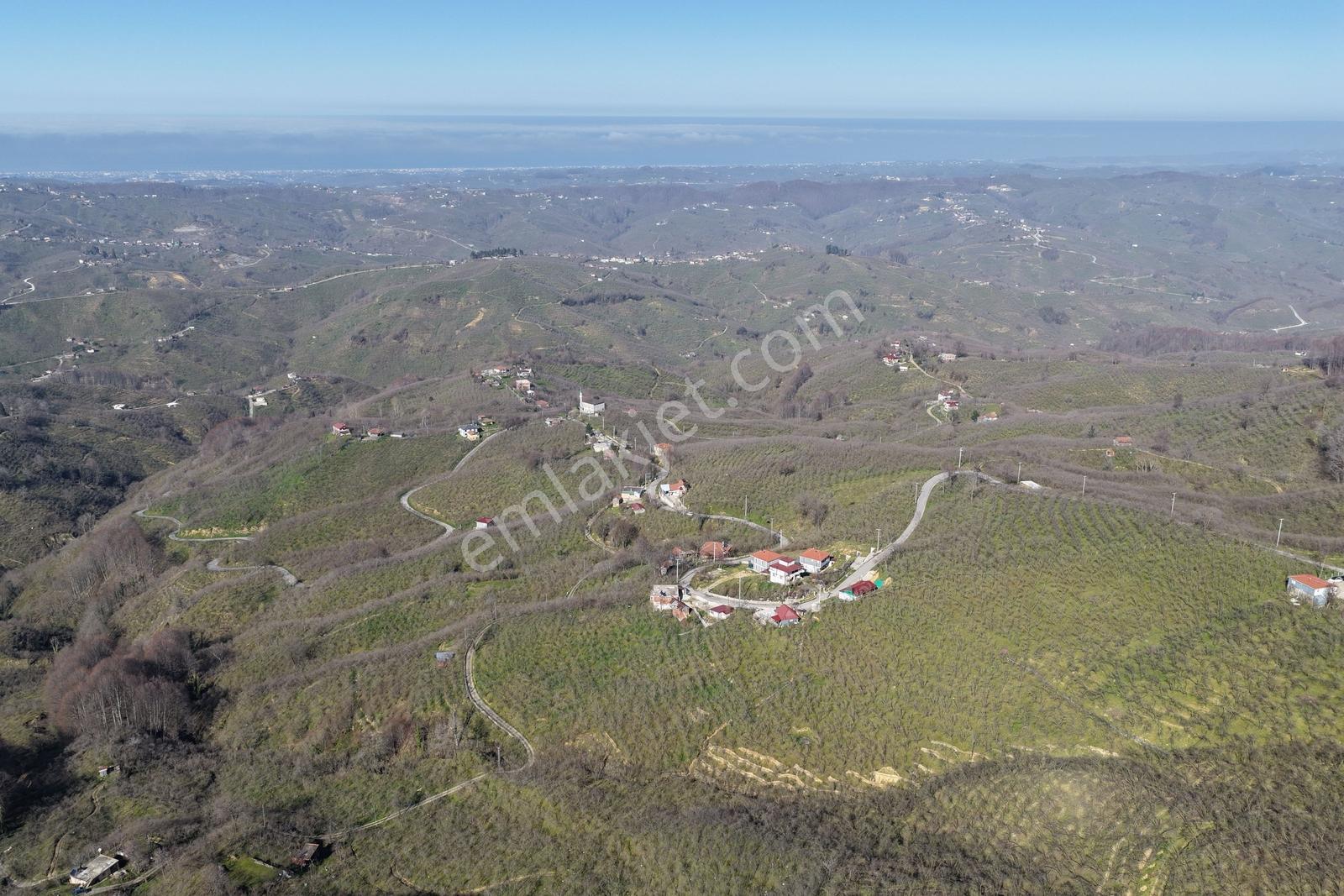 Kocaali'de Deniz Manzaralı 2 Asfalt Yol Cepheli 1.548 M2 İmarlı - Görsel 19