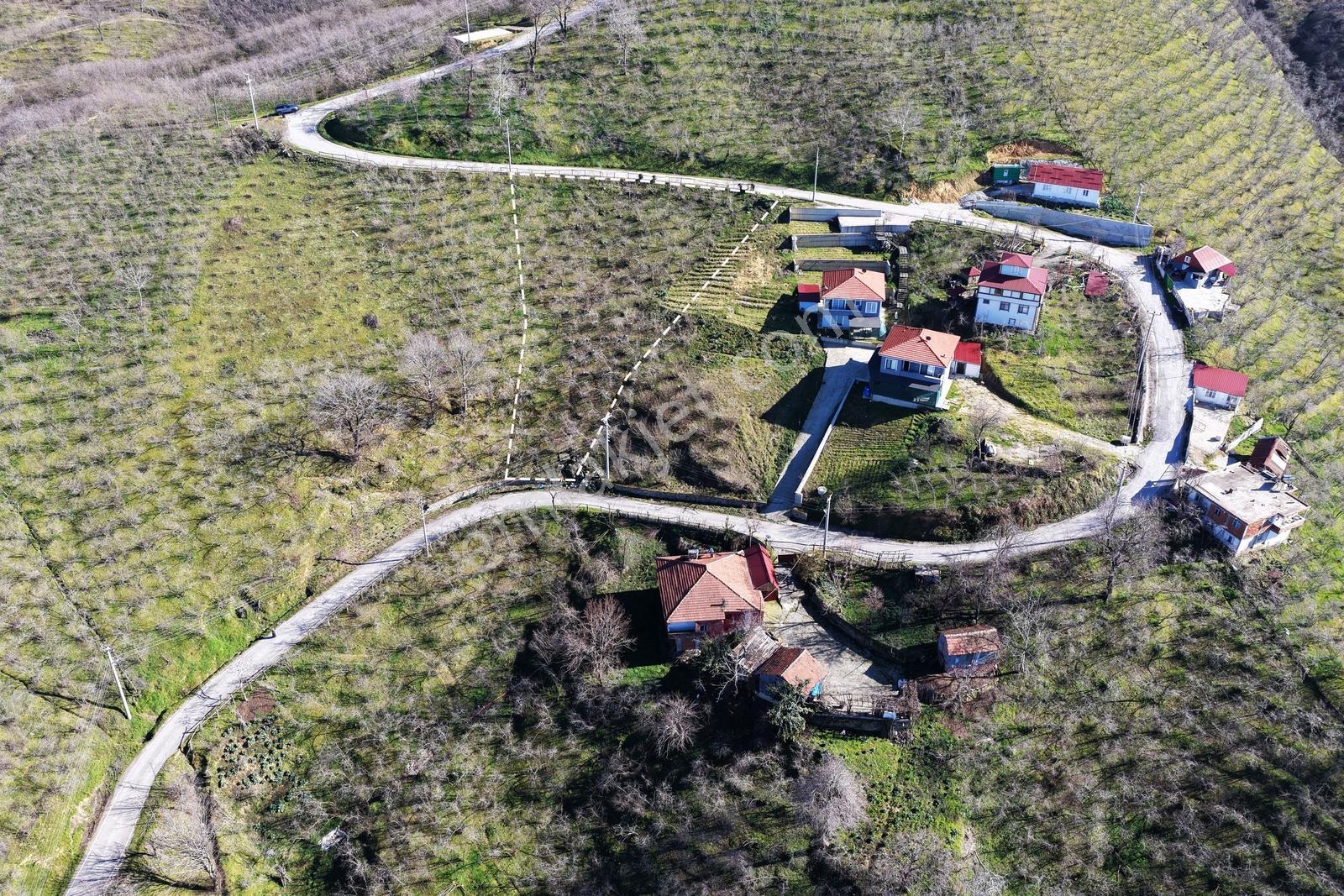 Kocaali'de Deniz Manzaralı 2 Asfalt Yol Cepheli 1.548 M2 İmarlı - Görsel 23