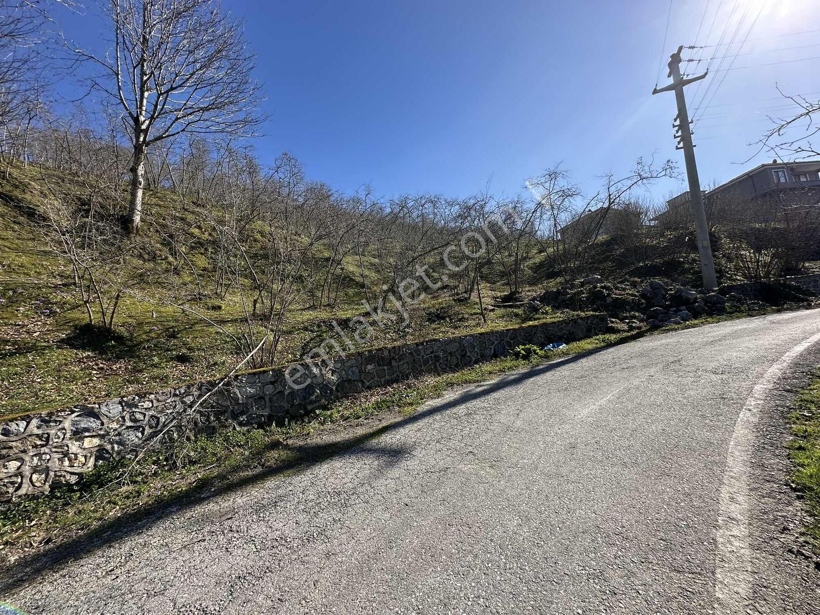 Kocaali'de Deniz Manzaralı 2 Asfalt Yol Cepheli 1.548 M2 İmarlı - Görsel 15