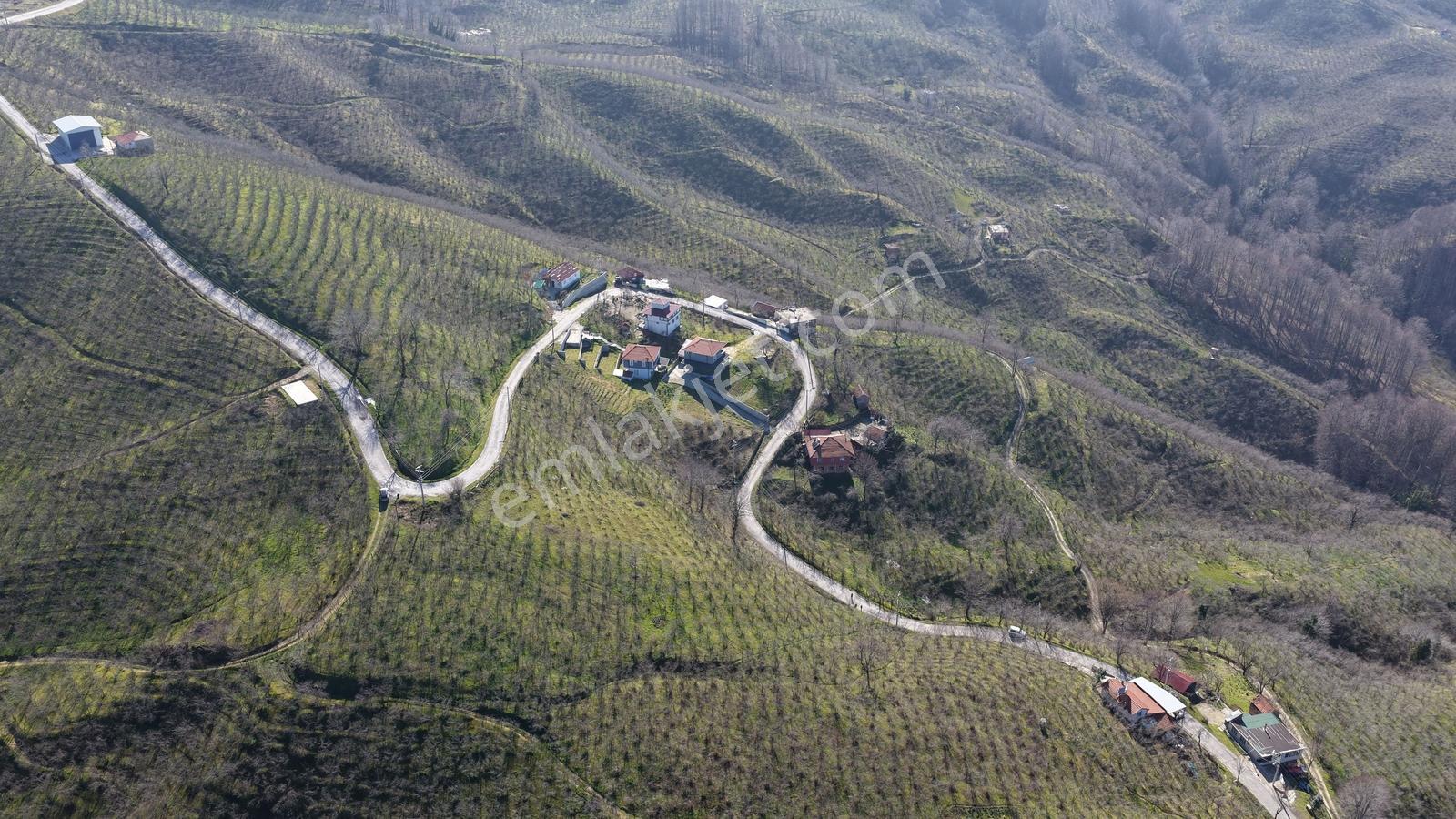Kocaali'de Deniz Manzaralı 2 Asfalt Yol Cepheli 1.548 M2 İmarlı - Görsel 3
