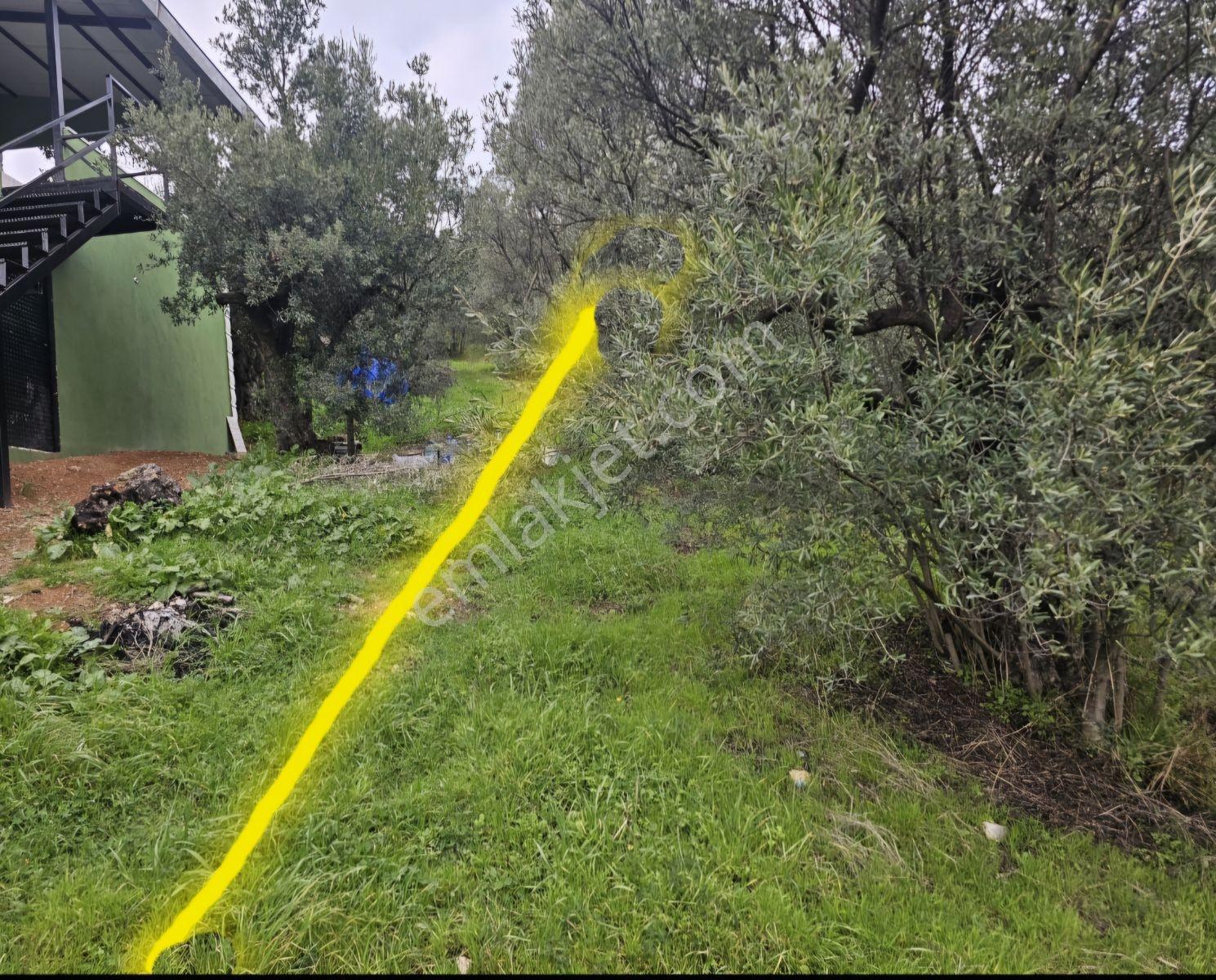 Mudanya Işıklı Da Müstakil Tapulu Bahçe - Görsel 9