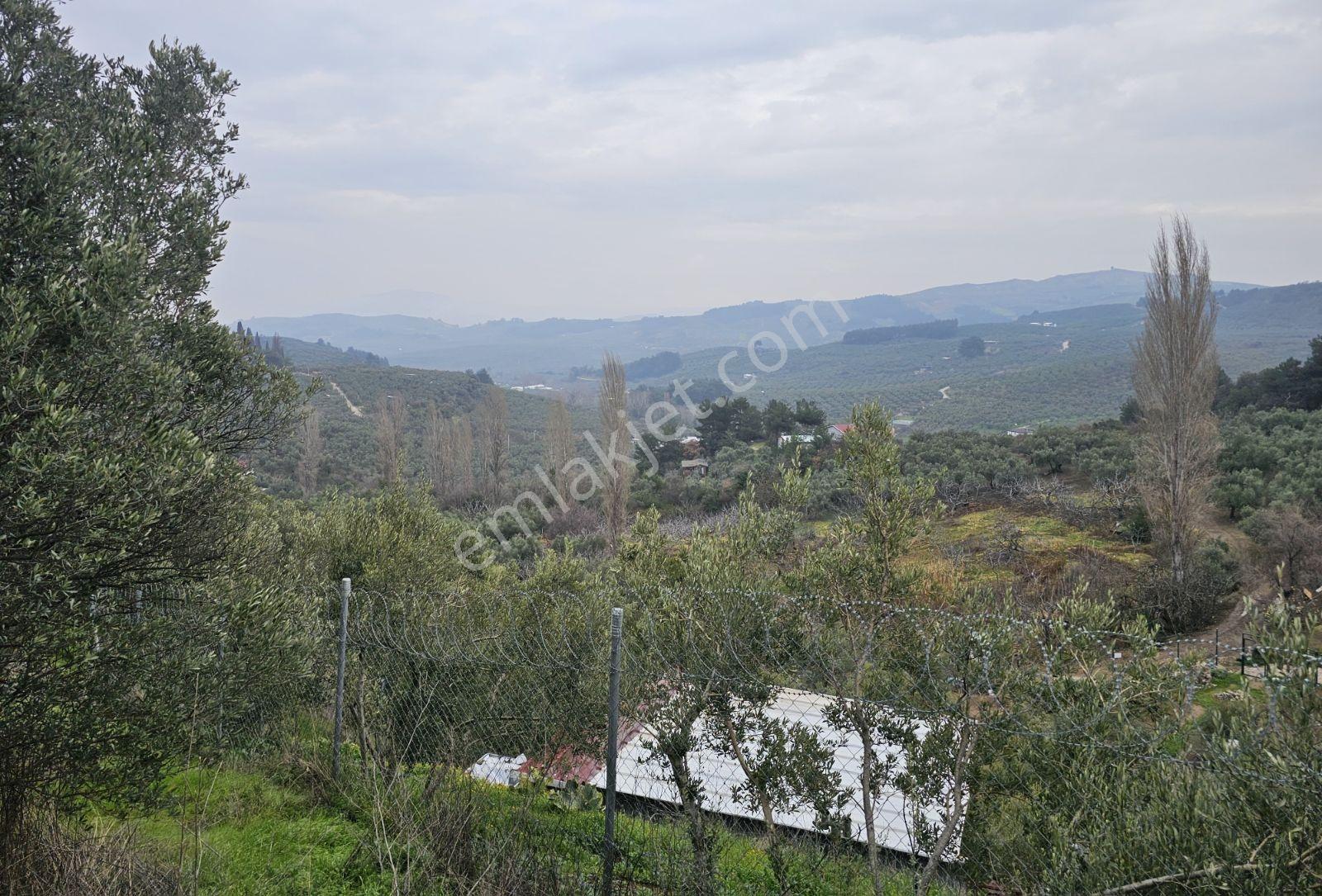Mudanya Işıklı Da Müstakil Tapulu Bahçe - Görsel 14